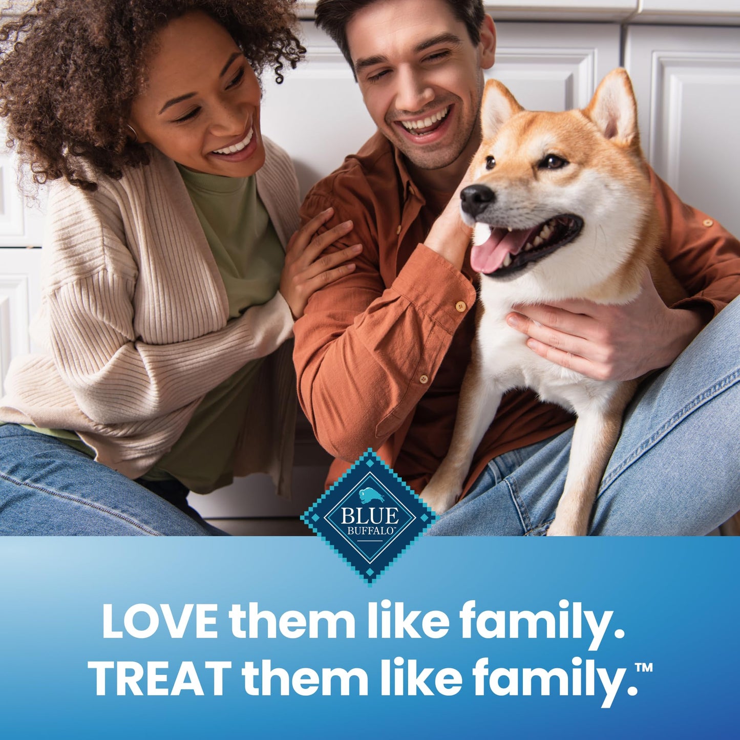 Blue Buffalo Dental Chews Medium Natural Dog Treats, Chicken & Spearmint 34.5-oz Bag (42 Count)