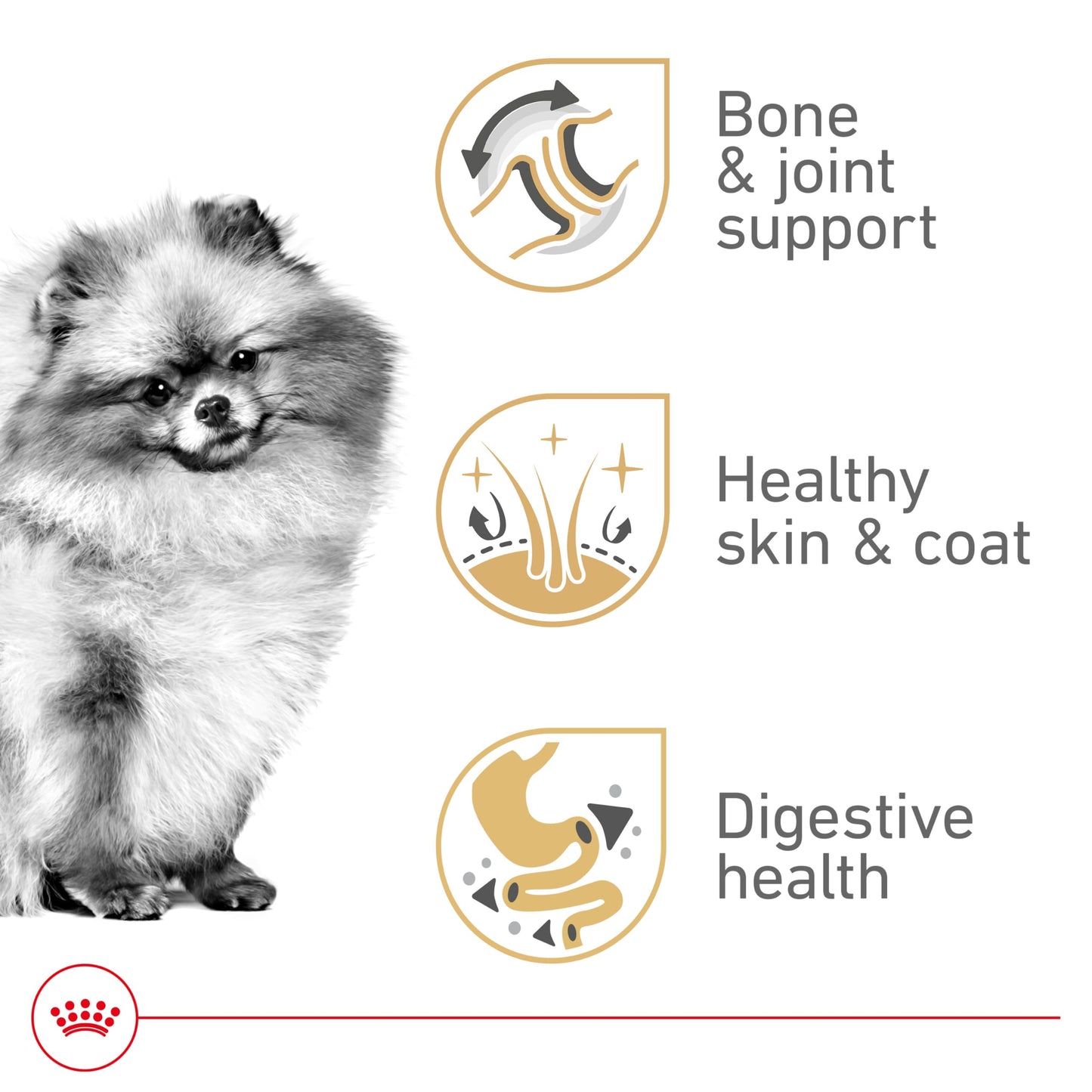 Royal Canin Breed Health Nutrition Pomeranian Adult Loaf in Sauce Dog Food, 3 oz (Pack of 24)