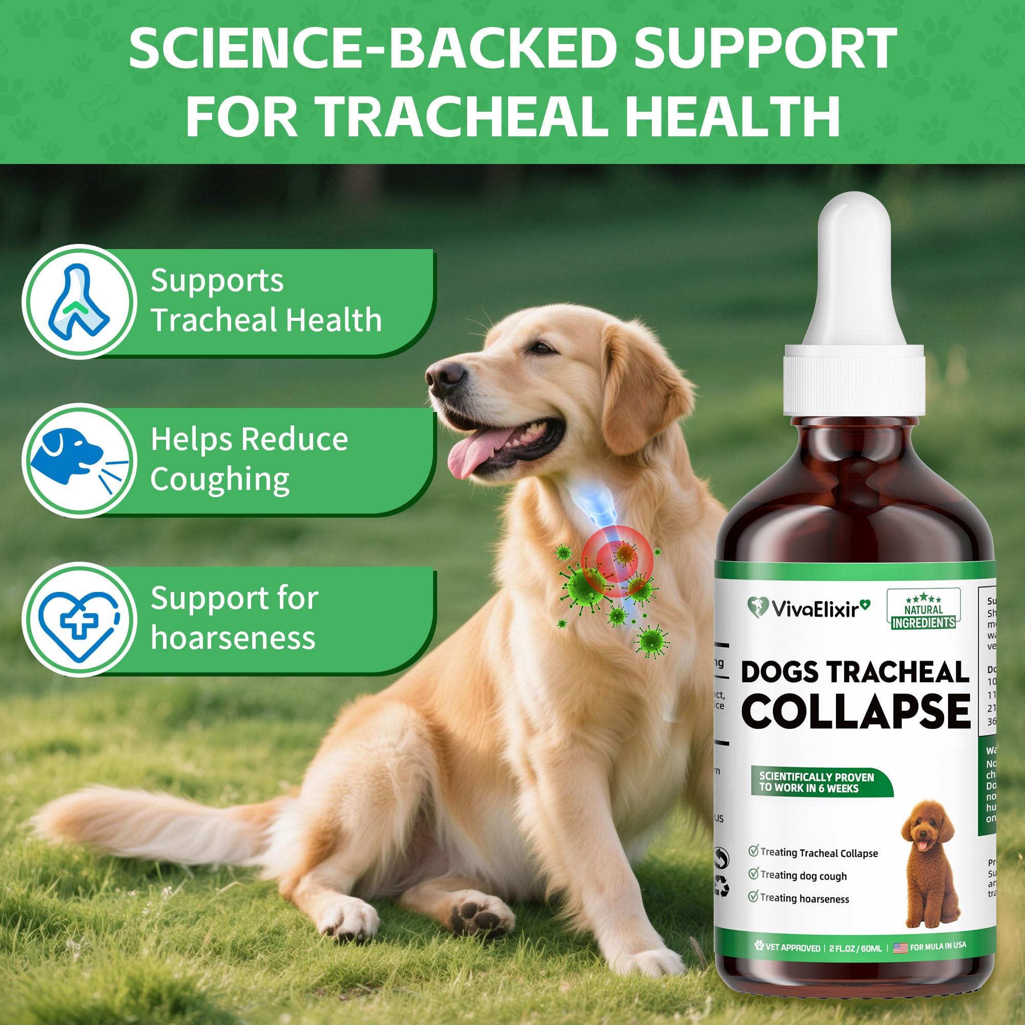 Dog Cough Treatment Liquid – Tracheal Collapse Support for Dogs – Herbal Drops with Slippery Elm, Mullein & Olive Leaf – Helps Soothe Throat, Calm Coughing & Support Breathing – 120g