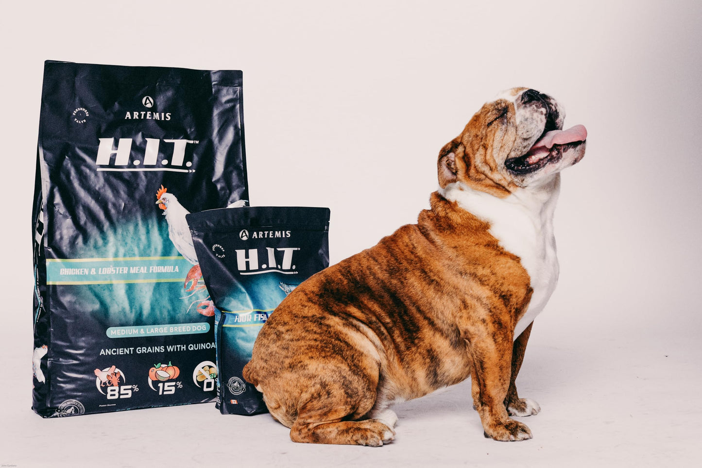 ARTEMIS Premium H.I.T. Chicken & Lobster Dry Dog Food for Medium & Large Breed Dogs (25 Lbs)