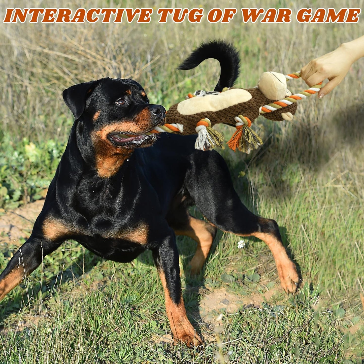 CneeeeeB Squeaky Durable Dog Toy Large Breed, Tug of War Dog Interactive Toy, Stuffed Plush Puppy Toy with Crinkle Paper for Small, Middle, and Big Dogs Monkey,Orangutan Shape