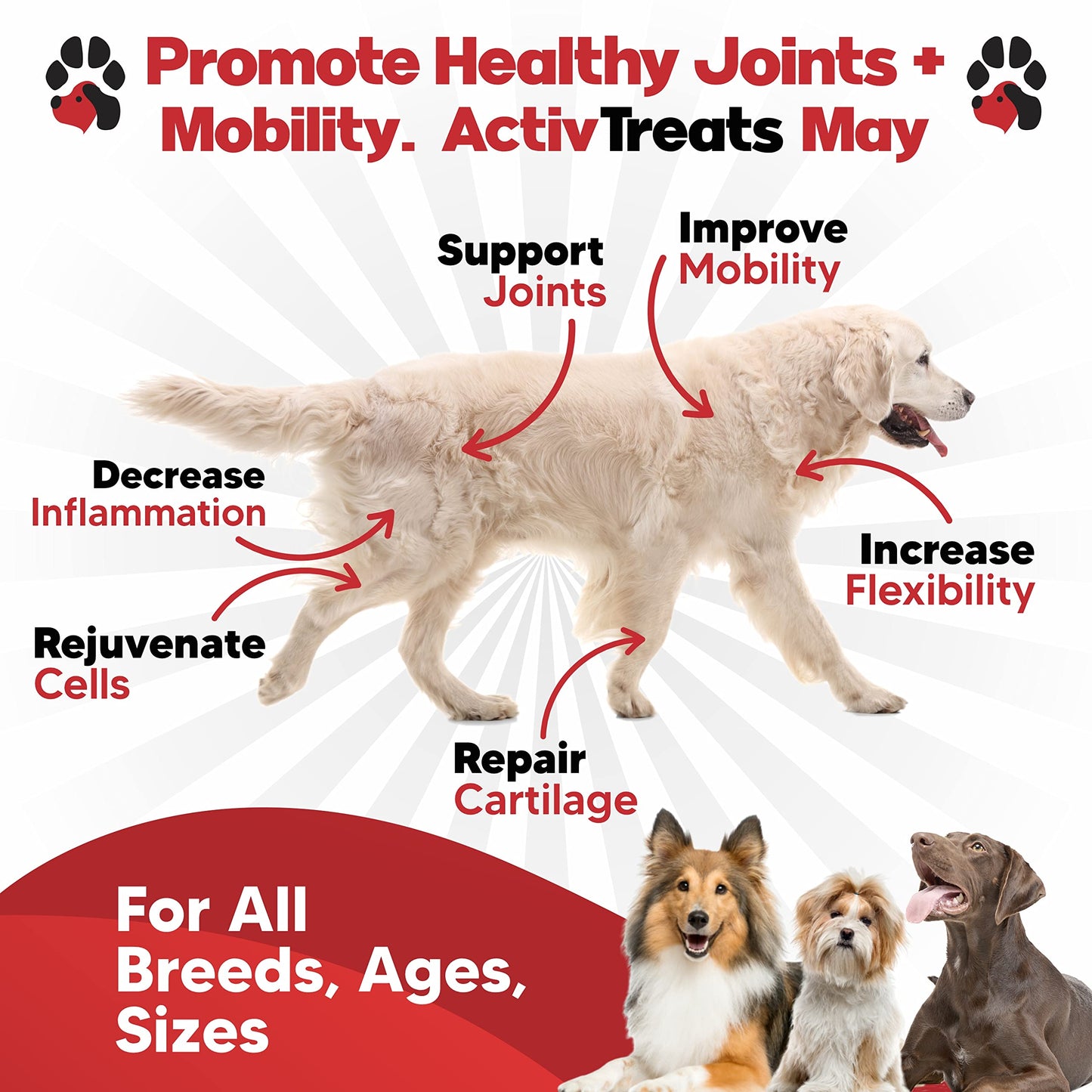 Glucosamine for Dogs Hip and Joint Supplement - Safe Joint Support for Dogs - Dog Joint Supplement with Glucosamine Chondroitin MSM Turmeric for Dogs - 120 Joint Care Chews for Dogs ActivTreats