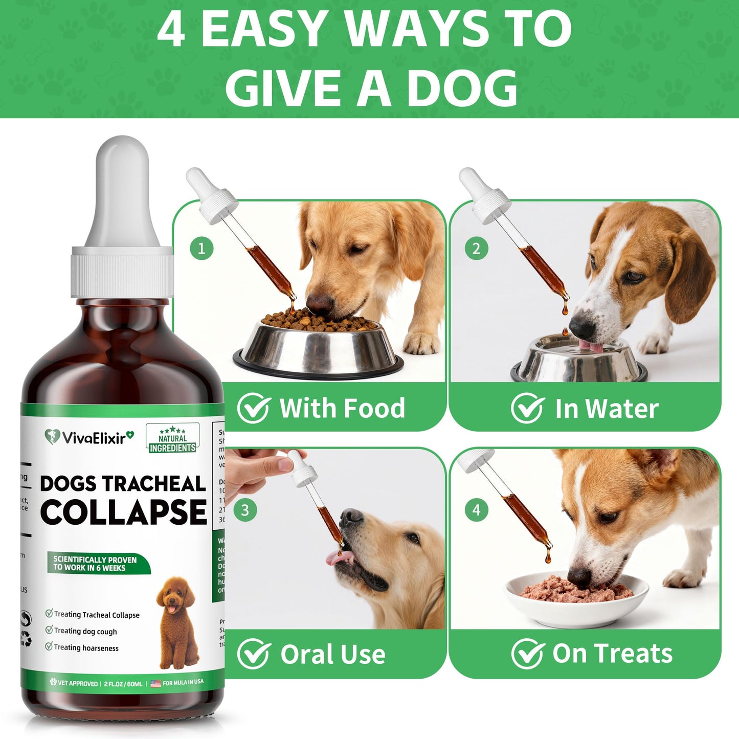 Dog Cough Treatment Liquid – Tracheal Collapse Support for Dogs – Herbal Drops with Slippery Elm, Mullein & Olive Leaf – Helps Soothe Throat, Calm Coughing & Support Breathing – 120g