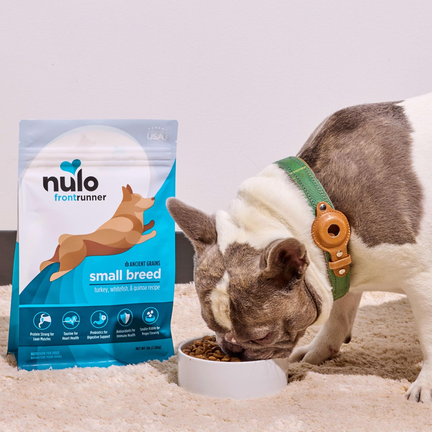 Nulo Frontrunner Ancient Grains High-Protein Small Breed Dog Food, Turkey, Whitefish, & Quinoa Recipe- Natural Dry Dog Food with Probiotics, Grain-Inclusive Kibble for Adults & Puppies, 5 lb Bag