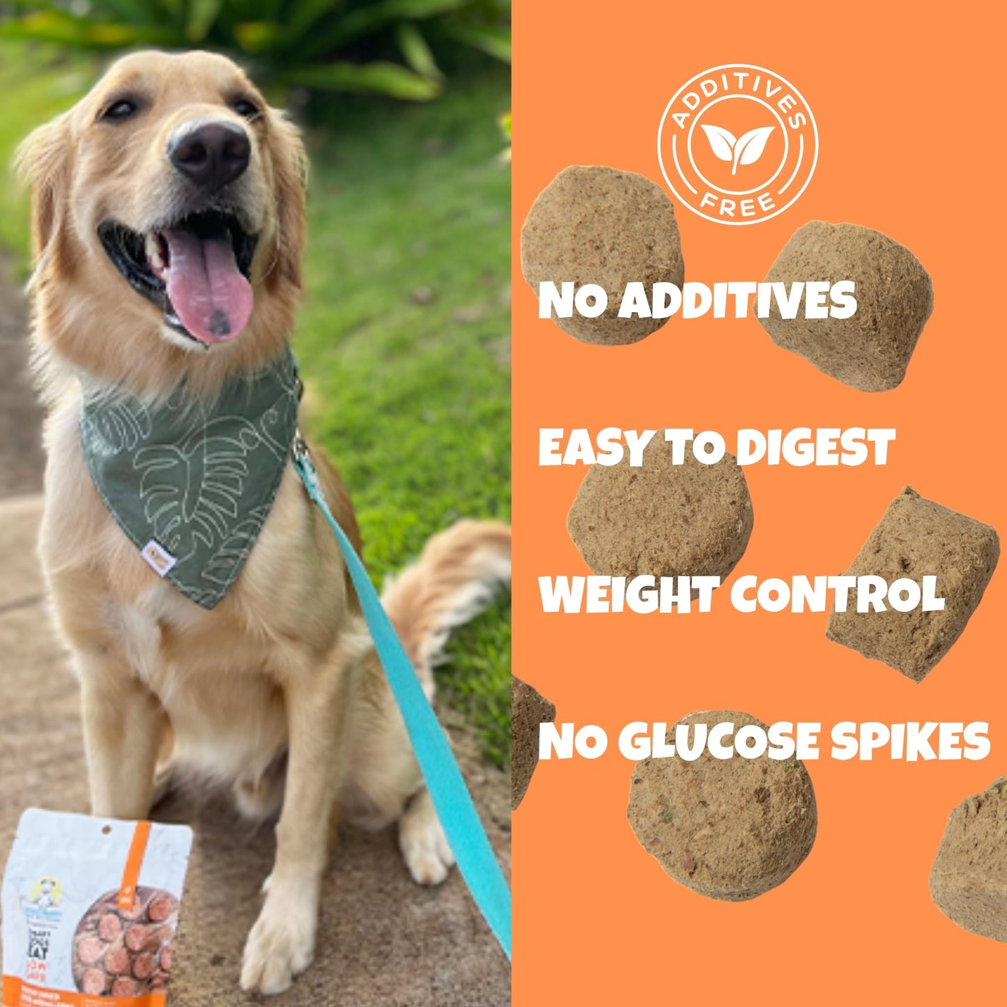 Visionary Pet Foods Chicken Freeze Dried Dog Treats - 310x Medallions Keto and Diabetic Friendly - Additive Free, Made in USA Low Carb, High Protein - Healthy Dog Training Treats, Resealable Bag