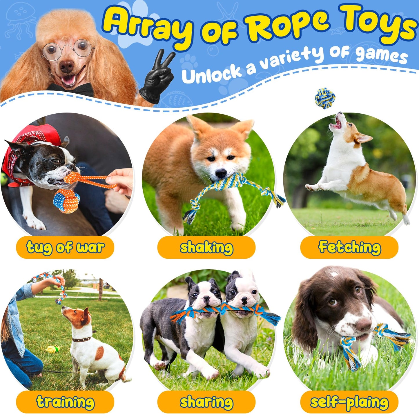 23 Pack Puppy Toys for Teething, Small Dog Chew Toys with Squeaky Plush, Ropes & Treat Balls for Boredom Relief