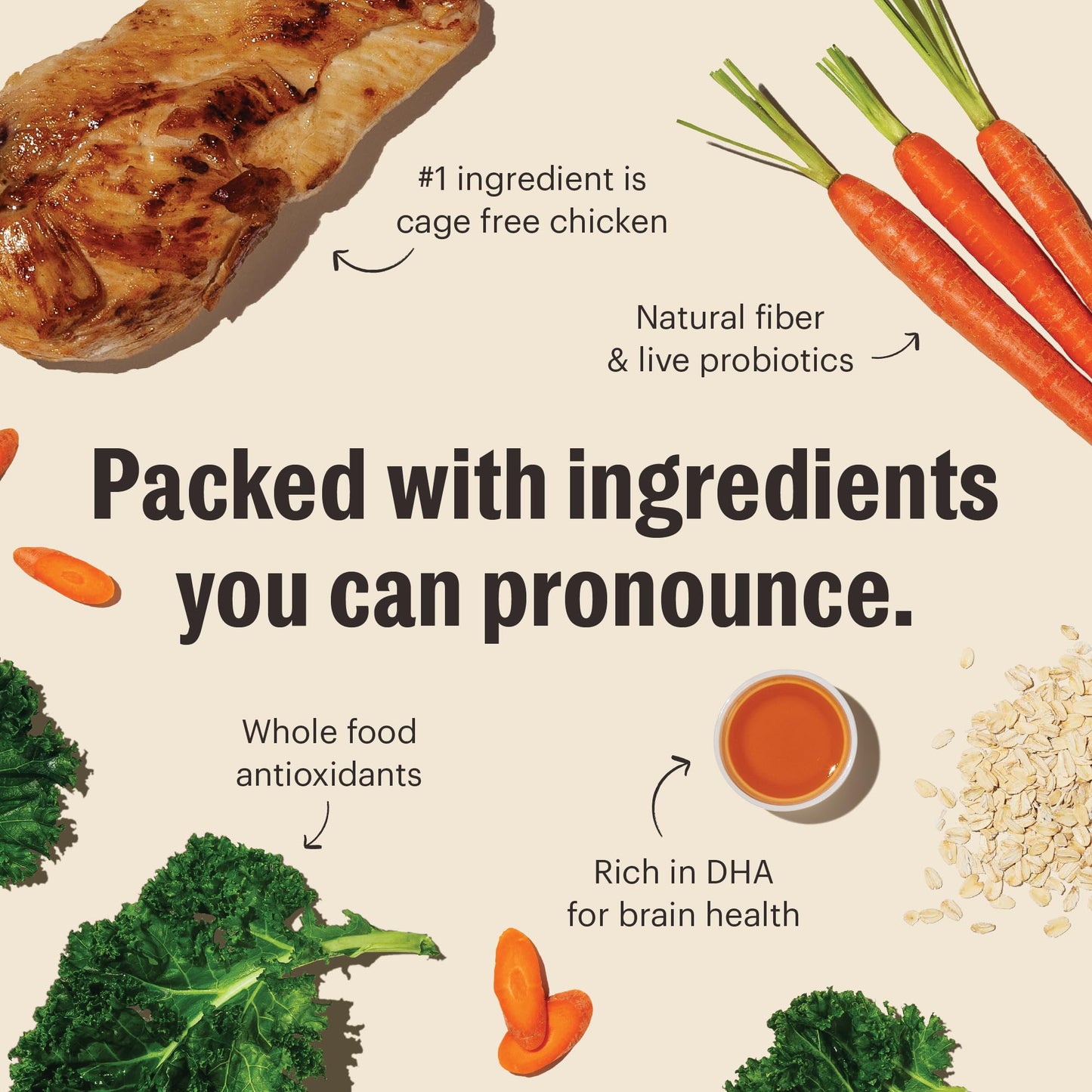 The Honest Kitchen Whole Food Clusters Puppy Whole Grain Chicken Dry Dog Food, 1 lb Bag