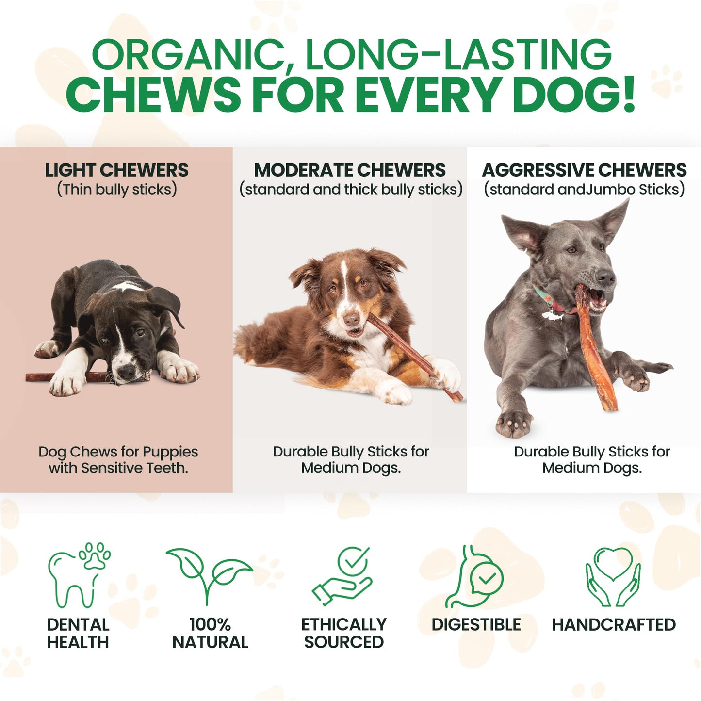 Thin 6โ Bully Sticks for Dogs - 10 Count - 100% Natural, Odor Free Grass-Fed Beef Pizzle Sticks for Dogs - Fully Digestible, Rawhide Puppy Bully Sticks for Small & Medium Dog - Free Ear Wipes