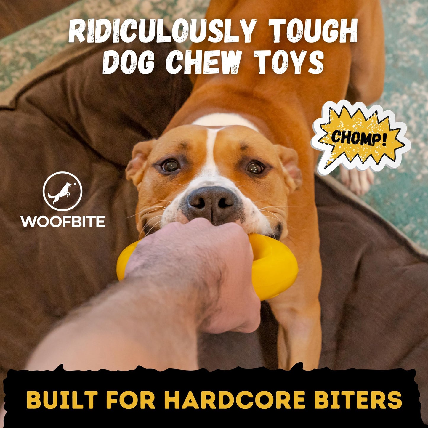 WoofBite Indestructible Dog Chew Toy - Lifetime Replacement - Durable Toy for Aggressive Chewers - Safe Non-Toxic Natural Rubber - Chew, Tug & Fetch - Tough, Heavy Duty - Med/Large Breed, 6.5”x1.25”