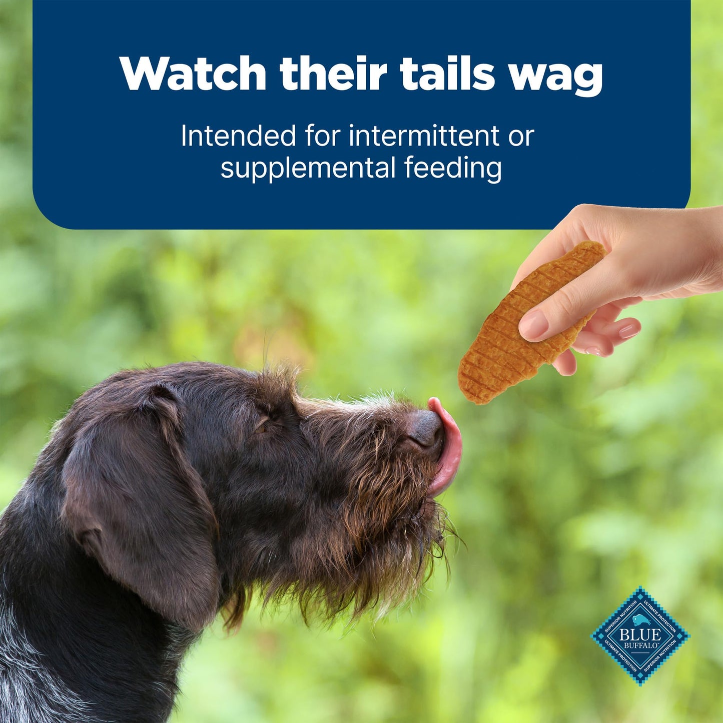 Blue Buffalo Nudges Jerky Cuts Natural Dog Treats Chicken Bag