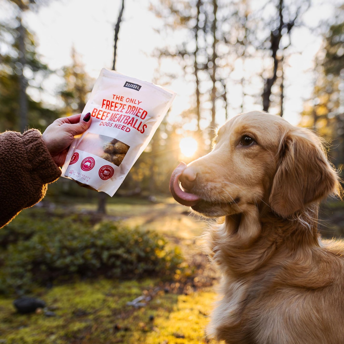 Natural Rapport Beef Meatball Dog Treats - The Only Beef Meatballs Dogs Need - All Natural Dog Treats for Small and Large Dogs (4 oz)