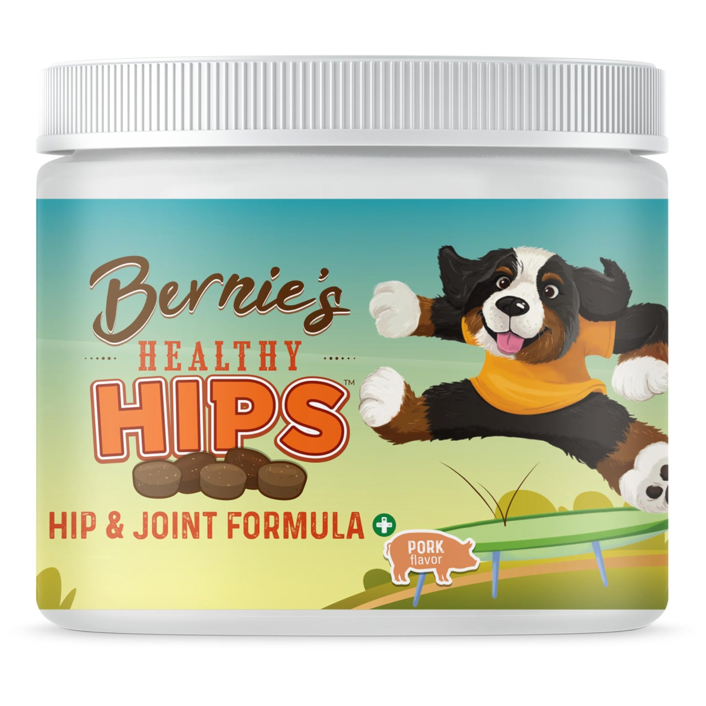 Bernie's Healthy HIPS - Daily Dog Hip & Joint Supplement - 90 Soft Chews - Reduce Pain, Encourage Mobility, Slow Damage, Repair and Rebuild HIPS & Joint Tissues