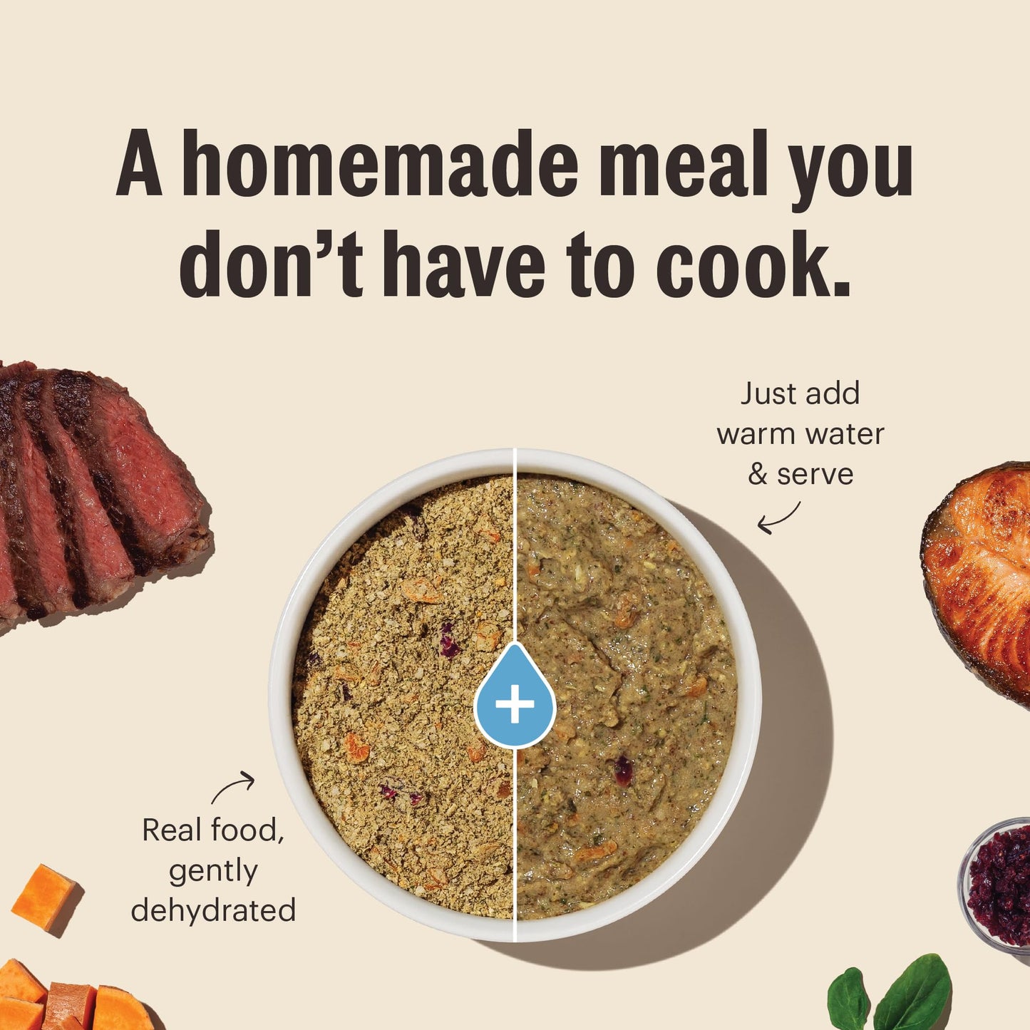 The Honest Kitchen Human Grade Dehydrated Whole Grain Dog Food – Complete Meal or Dog Food Topper – Beef 4 lb (makes 16 lbs)