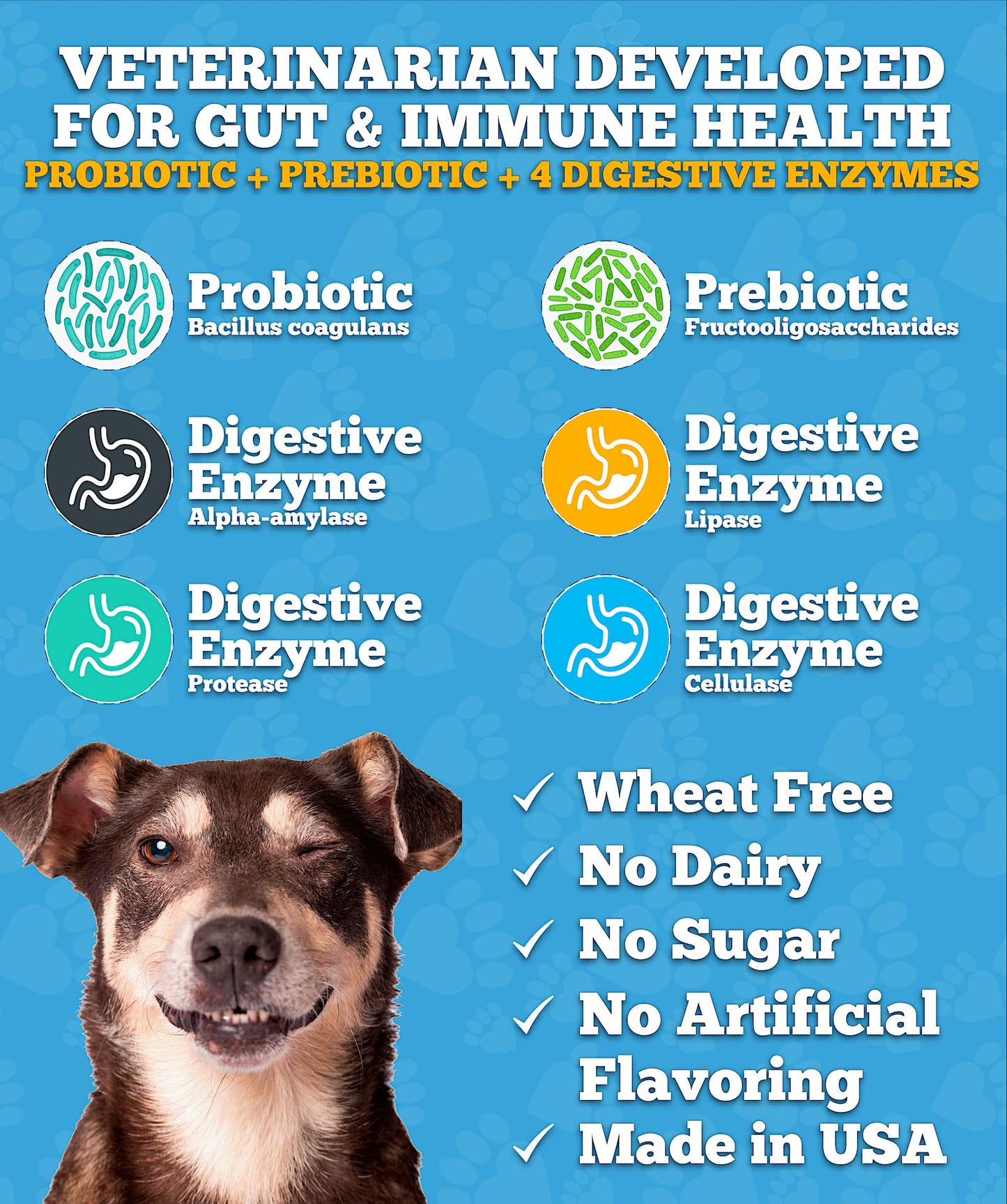 Well Loved Probiotics for Dogs, Dog Probiotics, Made in USA, Vet Developed for Gut Health, Yeast Balance, Itchy Skin, Diarrhea & Gas Relief, Chews with Prebiotic & Digestive Enzymes, Digestive Support