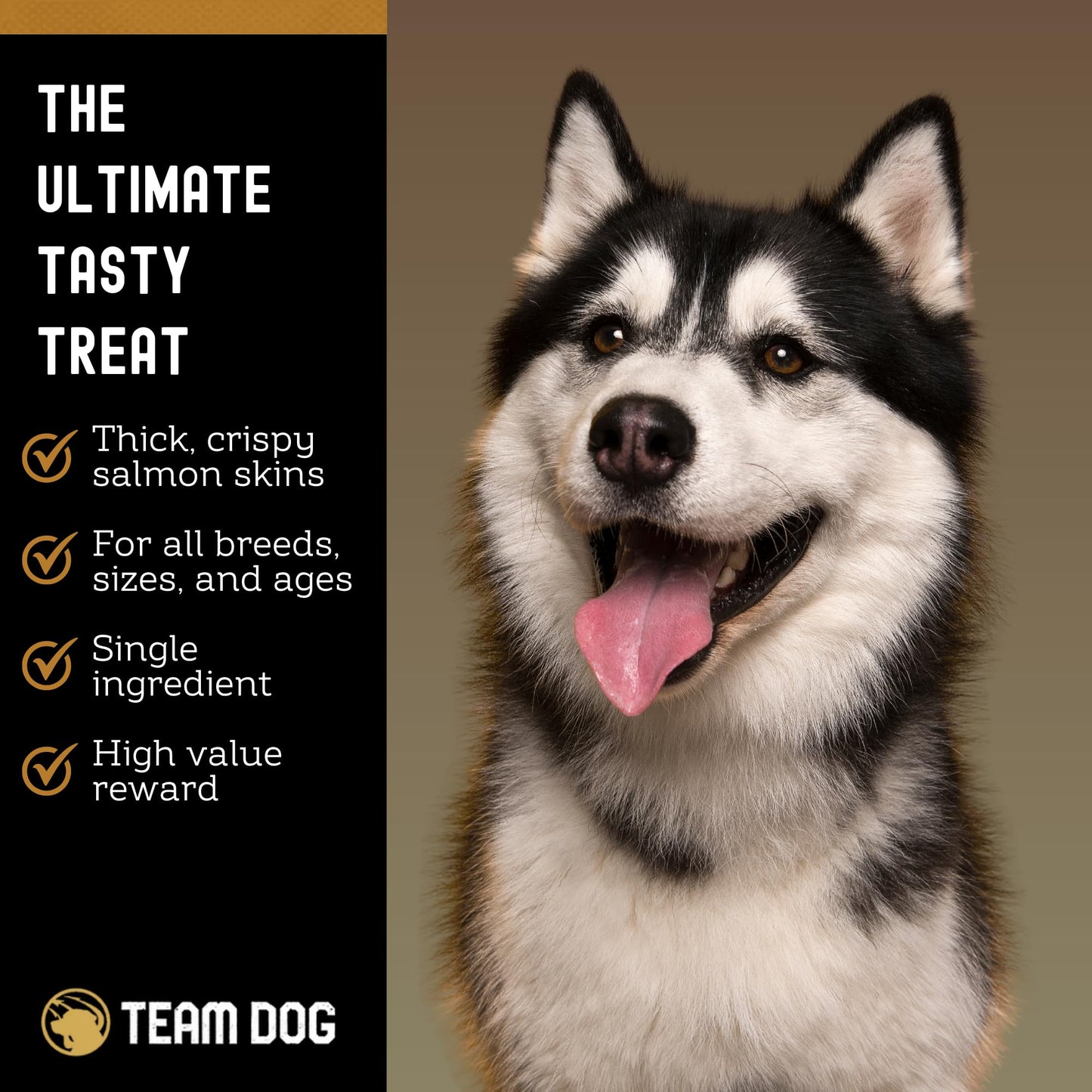 Team Dog Wild Alaskan Salmon Skin Treats for Dogs | Gluten Free, Grain Free, Single Ingredient | Freeze-Dried Raw Dog Treats Rich in Omega 3 | Promotes Healthy Skin & Coat | 4 Dog Chews per Bag
