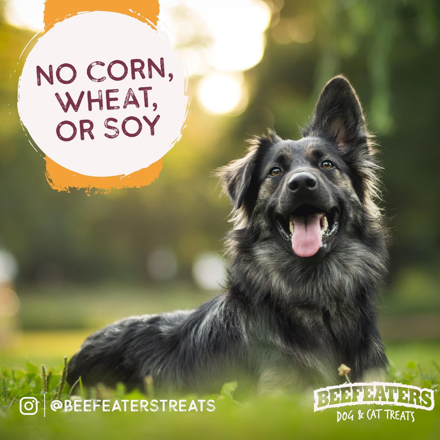 Beefeaters Dog Treats - Beefh 5in Twist with Chicken 26oz | Dog Food High Protein, Low Fat, Enriched with Vitamins & Minerals | Promotes Clean Teeth | Dog Training Treats for All Dog Sizes (Pack of 2)