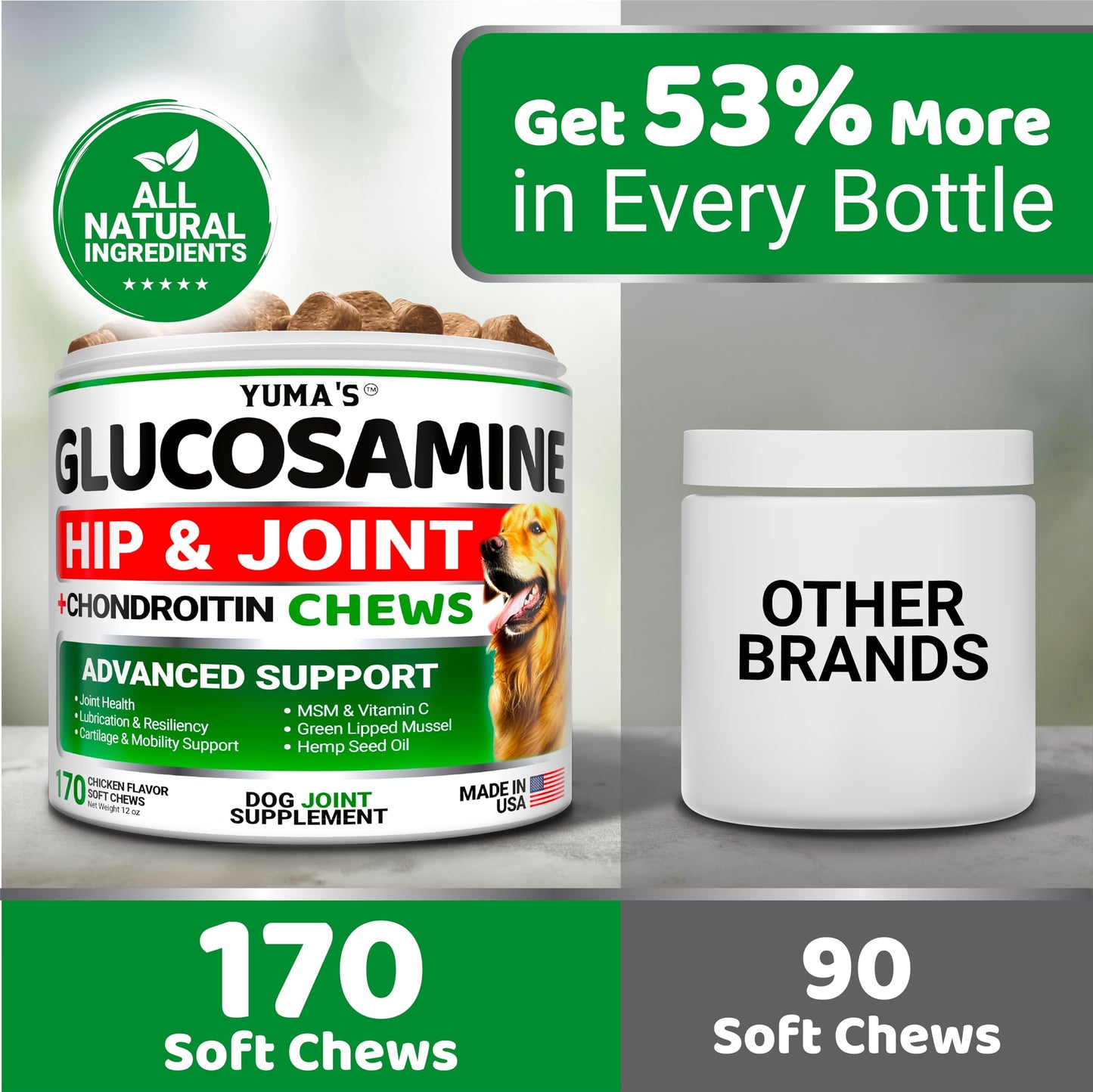 YUMA'S Glucosamine for Dogs - Hip and Joint Supplement for Dogs - 170 Ct - Glucosamine Chondroitin Chews - Joint Pain Relief Supplement with MSM - Advanced Health - Mobility Support - Made in USA