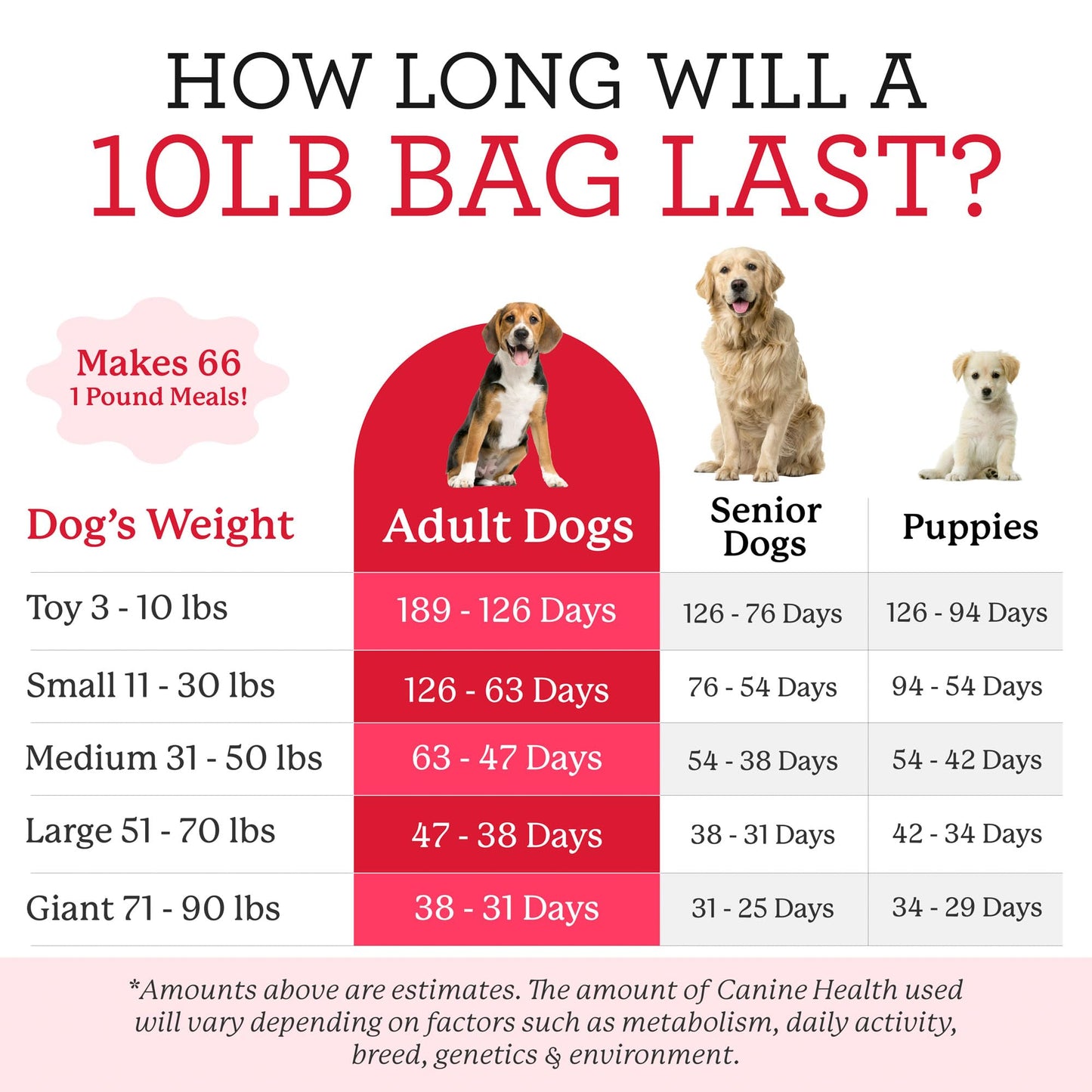 Dr. Harvey's Canine Health Miracle Dog Food, Human Grade Dehydrated Base Mix for Dogs with 9 Vegetables and 6 Organic Whole Grains (10 Pounds)