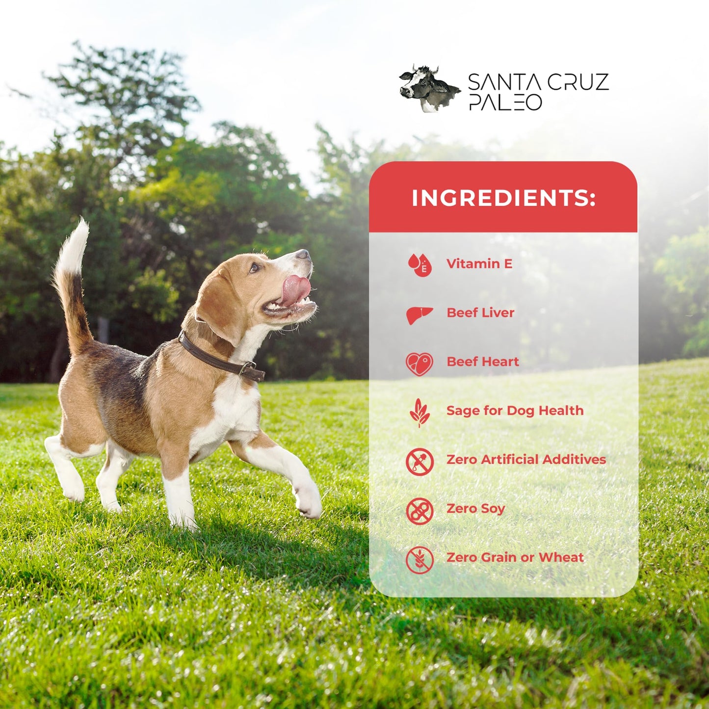 Santa Cruz Paleo Dog Treats, 4 oz Bag, Beef Liver Treats for Dogs with Beef Heart, Vitamin E, Healthy Mini Meatball Dog Training Treats or Food Topper Made with 100% Pasture Raised Beef, High Protein