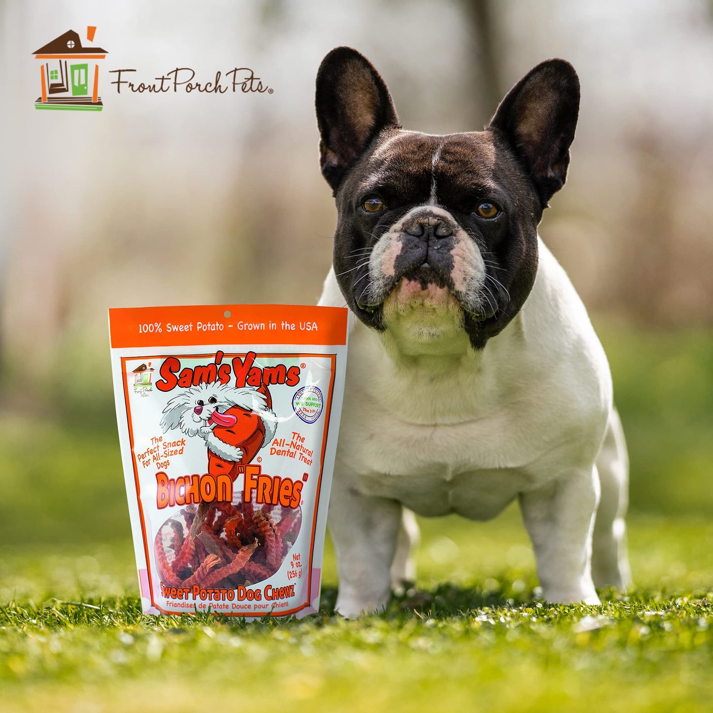 Sams Yams Sweet Potato Dog Treats - Healthy High Fiber Vegan Dental Chew for Small & Medium Dogs - 9oz (3 Packs)