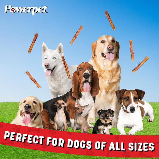 Powerpet 100% Natural Steer Stick (Bully Stick) - Odorless, High Protein, Low Fat, Healthy Dog Treats, Long-Lasting Chews, Highly Digestible, Cleans Teeth, Treats for All Breeds & Sizes, 4" - 20 Pack