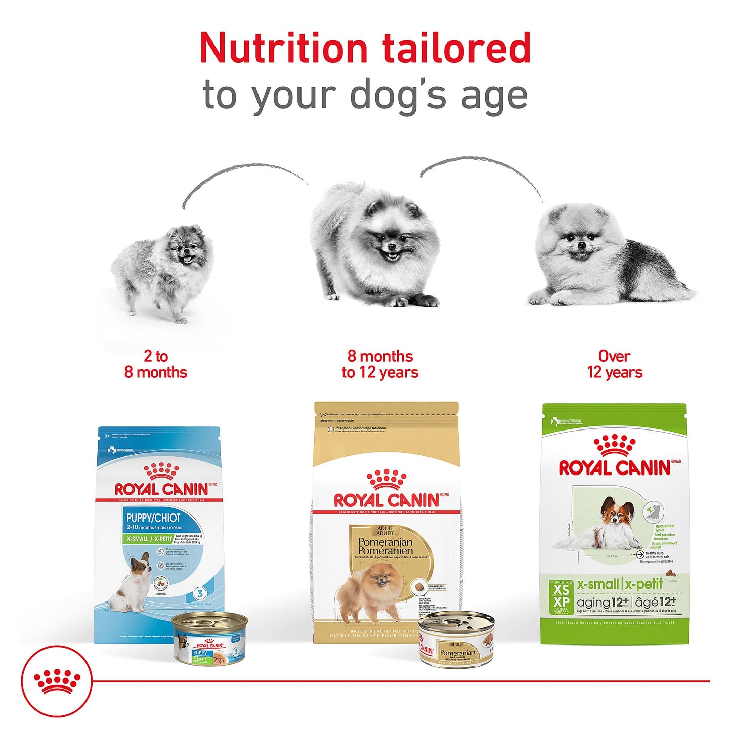 Royal Canin Breed Health Nutrition Pomeranian Adult Loaf in Sauce Dog Food, 3 oz (Pack of 24)
