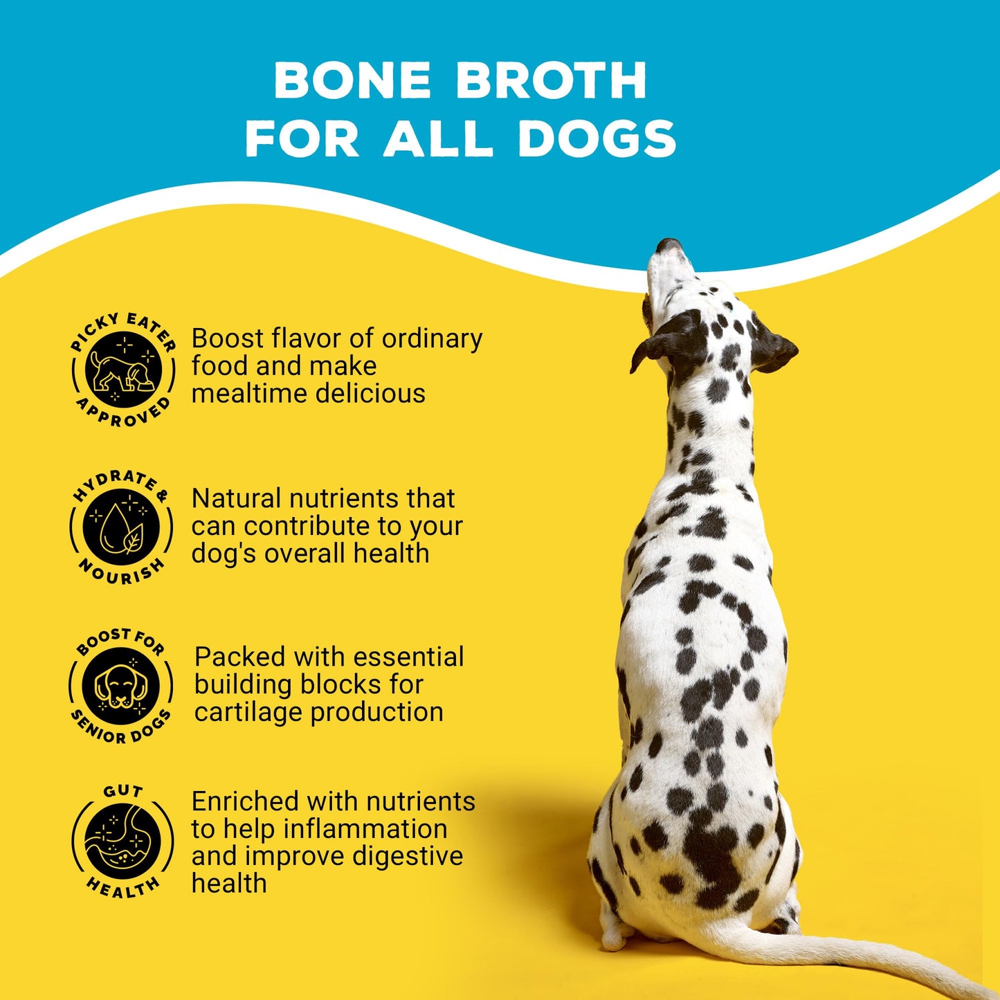 Brutus Beef Bone Broth for Dogs - All Natural Bone Broth with Chondroitin Glucosamine & Turmeric, Human Grade Food Toppers for Picky Eaters & Dry Food -Tasty & Nutritious- Pack of 6