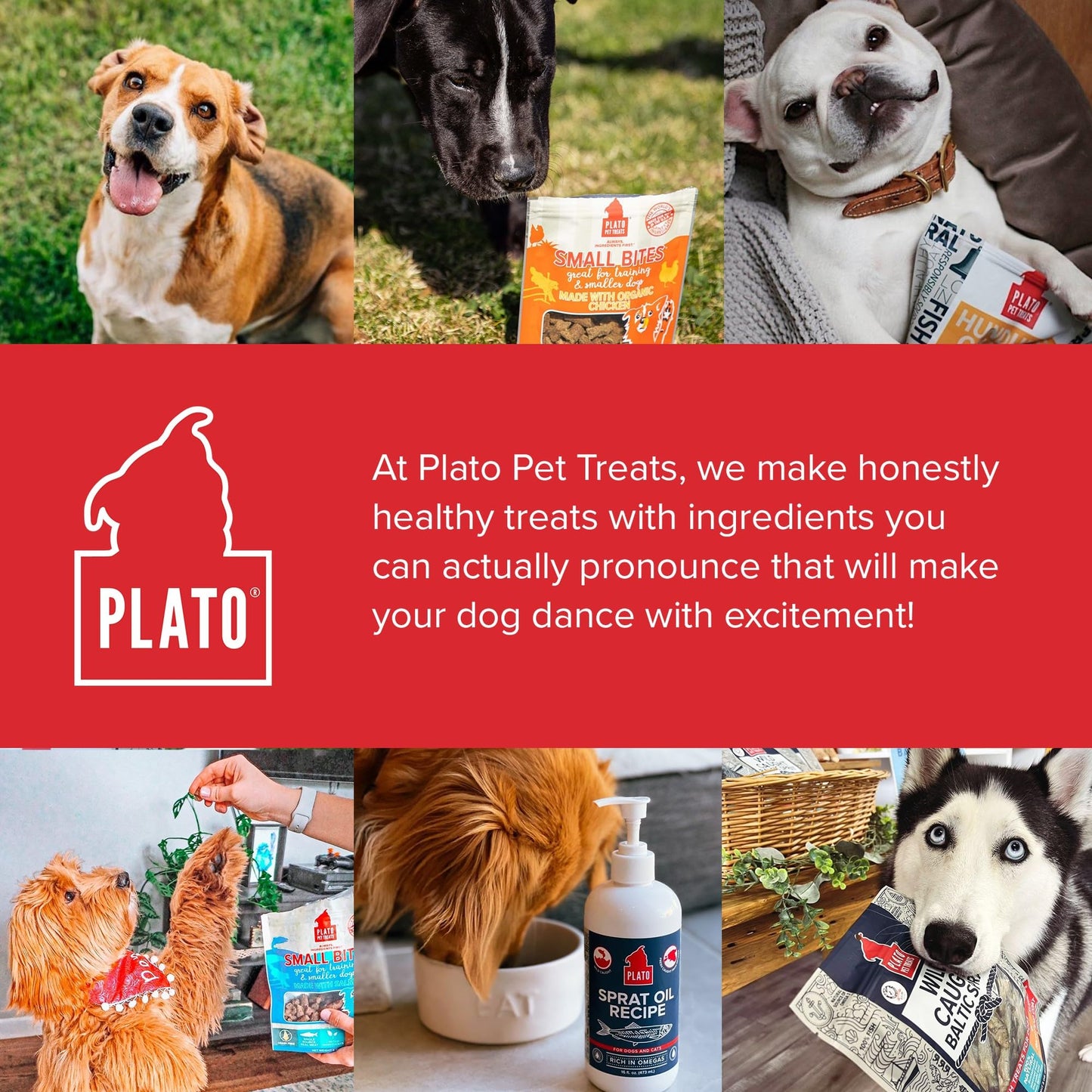 PLATO Pet Treats Small Bites - Air-Dried Training Treats for Dogs - Supports Healthy Digestion - Limited Ingredients - Lamb 6oz