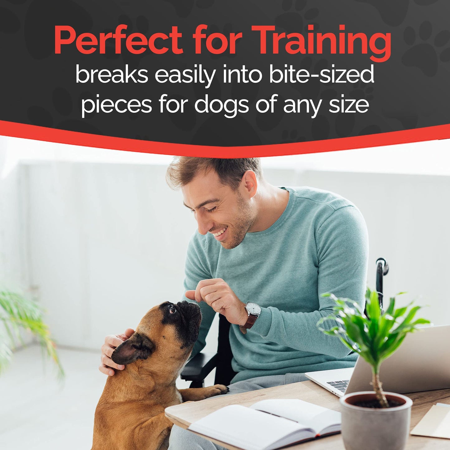 Miss Nelly's -All Natural Beef Jerky Dog Treats - Soft Sticks - USA Made and Sourced - Original Smoke House Recipe - Small Batch Beef Jerky for Dogs - Minimally Processed - 8 oz. Bag