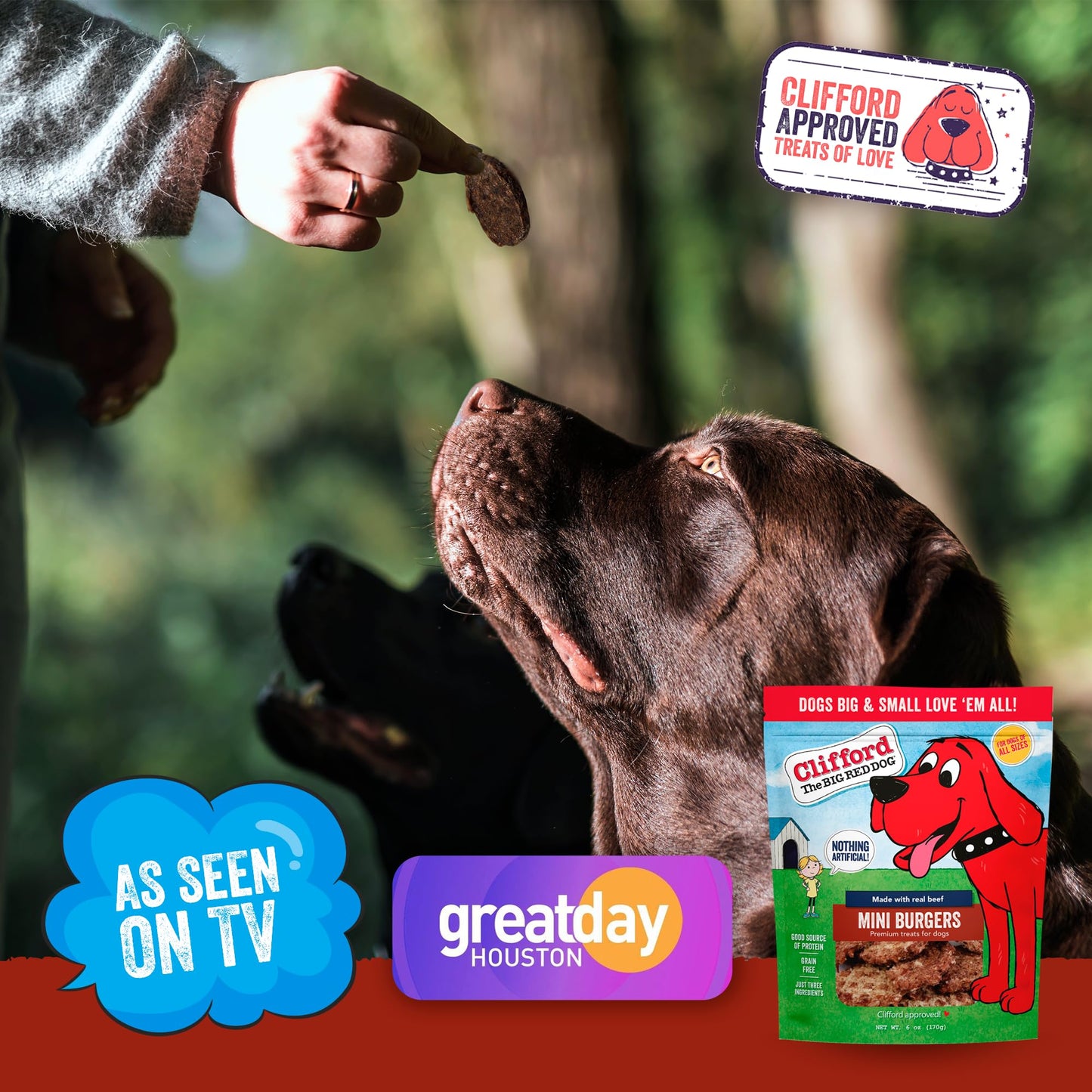 Clifford The Big Red Dog Soft Training Treats for Puppies and Dogs – Healthy, High Protein, Grain Free, Soft Puppy Treats for Small Dogs and Large – Real Beef Mini Burger Bites – 24oz