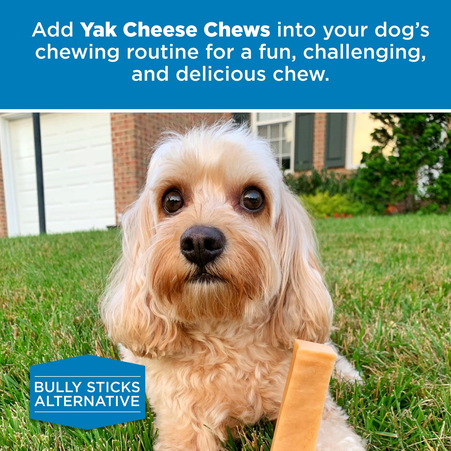 Best Bully Sticks Himalayan Yak Cheese for Dogs - Small 4 Count (Pack of 1) - Natural, No Lactose, Odor Free, Long-Lasting Snack