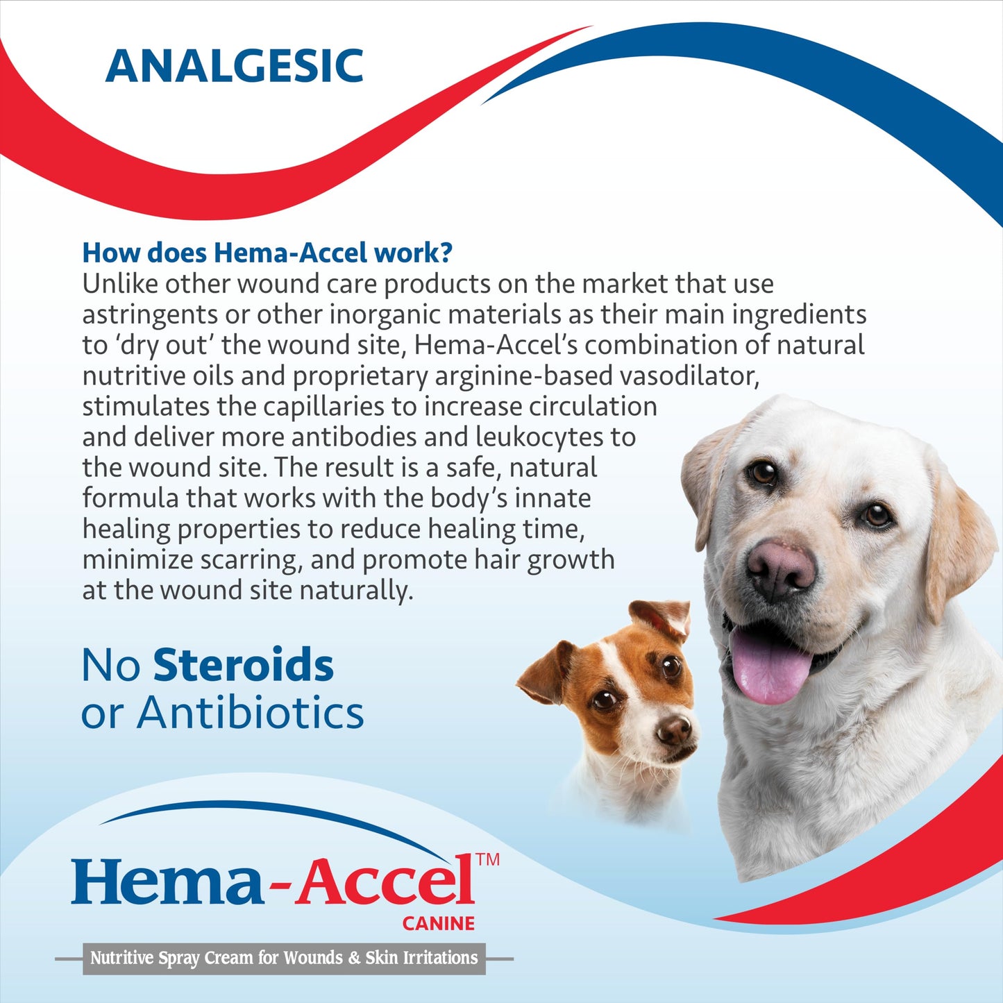 Hema-Accel Canine Wound Care Spray for Dogs, 4 oz – Natural Pet Skin Treatment for Hotspots, Cuts, Burns, Itch Relief, Itchy Skin, First Aid, Dog Wound Spray, Aloe Vera, Coconut Oil, Vitamin E