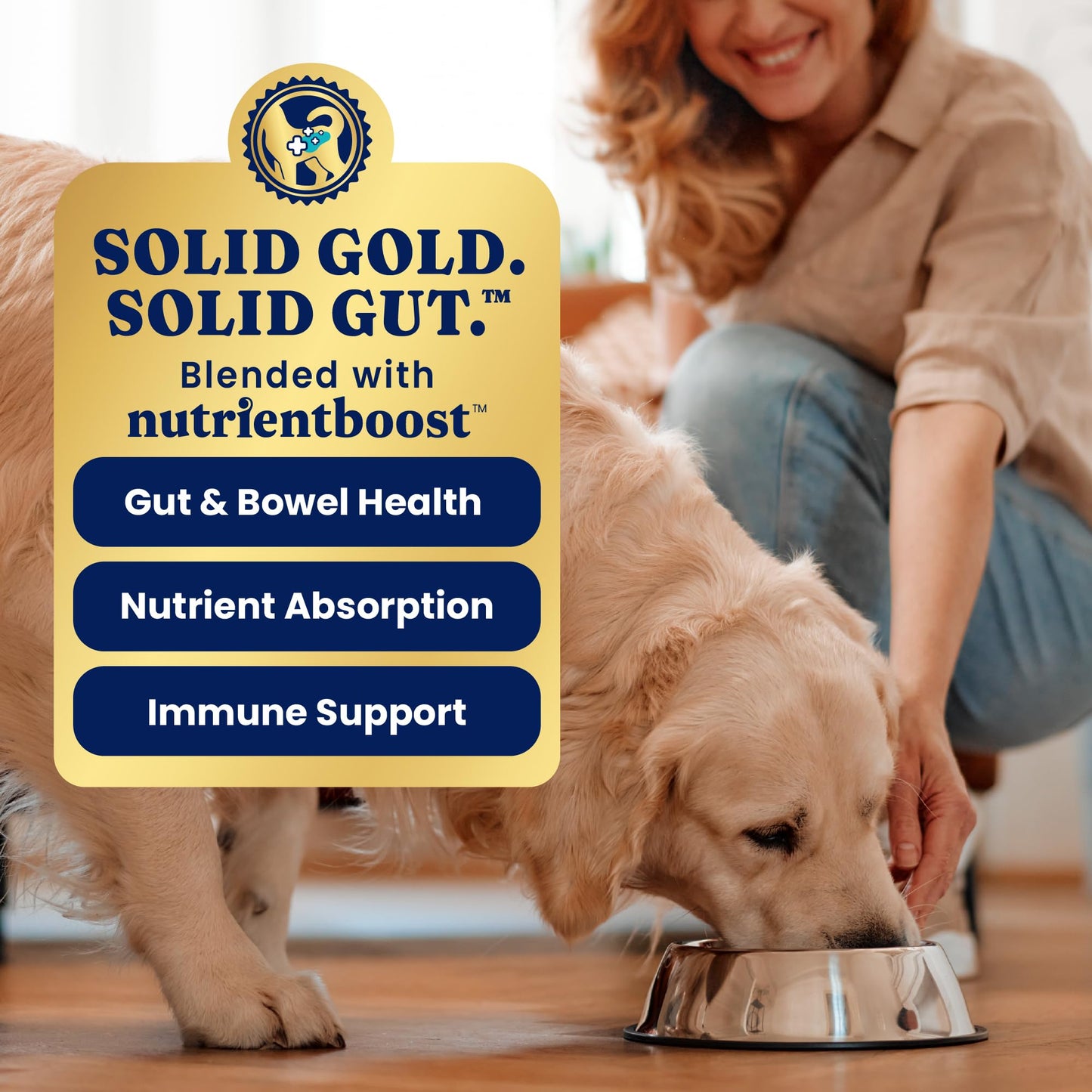 Solid Gold Beef Tripe Wet Dog Food Mix in for Adult & Senior Dogs - Helps Boost Appetite for Picky Eaters & Sensitive Stomachs - Canned Dog Food Additive for Healthy Digestion - 6 Pack/13.2oz Cans