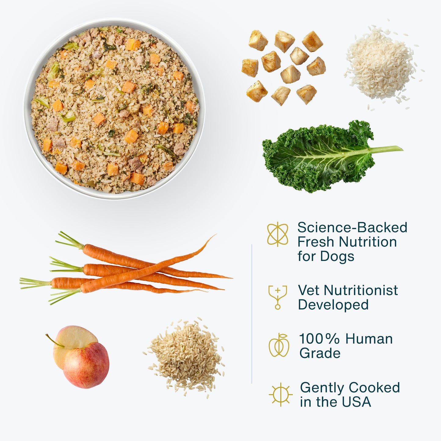 JustFoodForDogs Frozen Fresh Dog Food, Complete Meal or Dog Food Topper, Chicken & Rice Human Grade Recipe, 18 oz (Pack of 14)