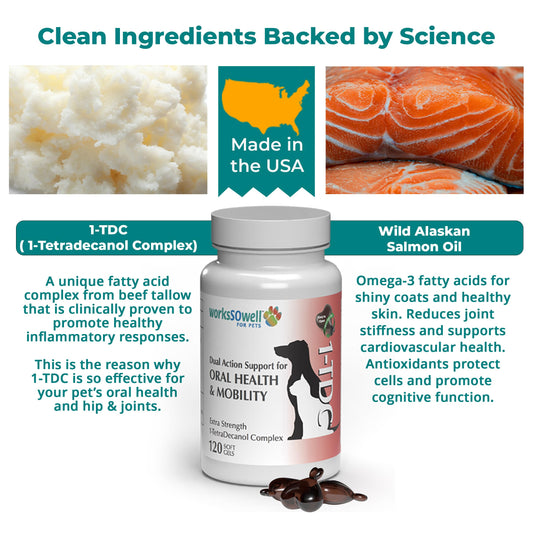 1TDC WorksSoWell Dual Action Joint Supplement for Dogs & Cats - Hip and Joint Supplement for Large Breed & Small Breed - Also Great for Oral Health - Muscle & Stamina Recovery & Arthritis - 120ct