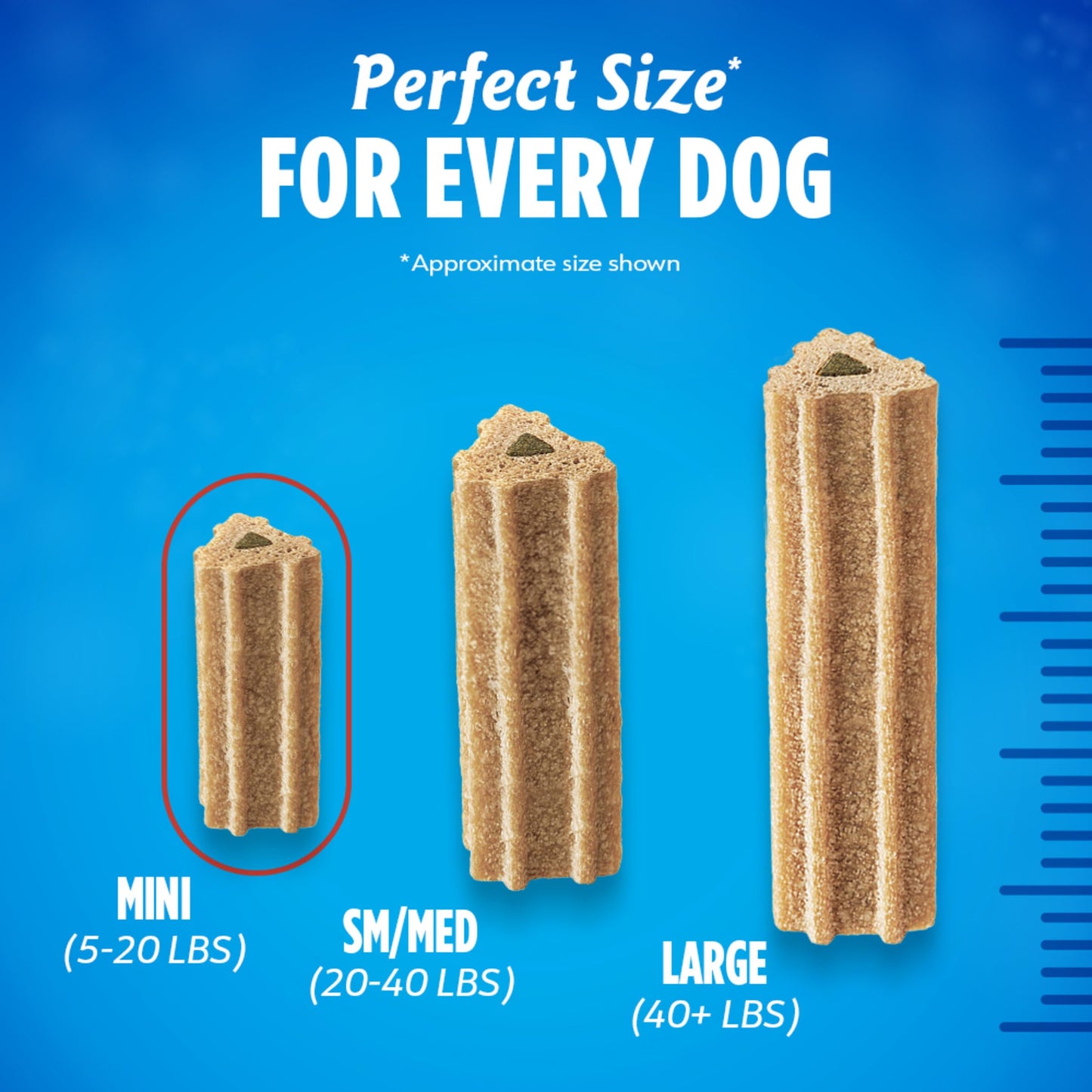 DentaLife ActivFresh Pack of 2 Dog Chews for Small Dogs, Dental Chews to Freshen Breath, Chicken Flavor, 13.5 oz. Each, 45 Each/90 Total - 45 Ct. Pouch