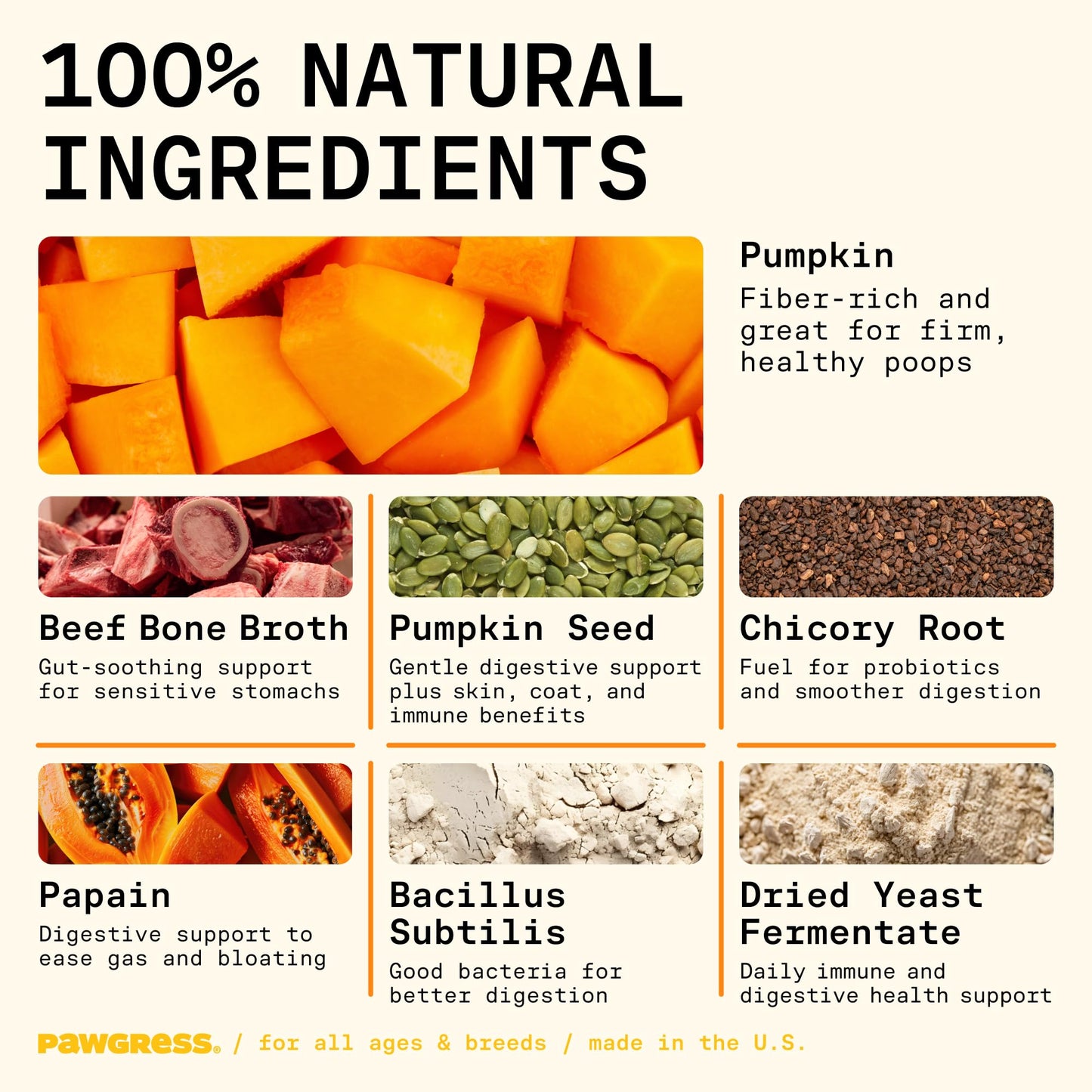 Pawgress 5-in-1 Dog Probiotic Powder – 100% Natural Gut Health Support with Prebiotics, Postbiotics & Enzymes – Crafted by Dog Nutritionist Kayla Kowalski, Made in USA – 30 Scoops