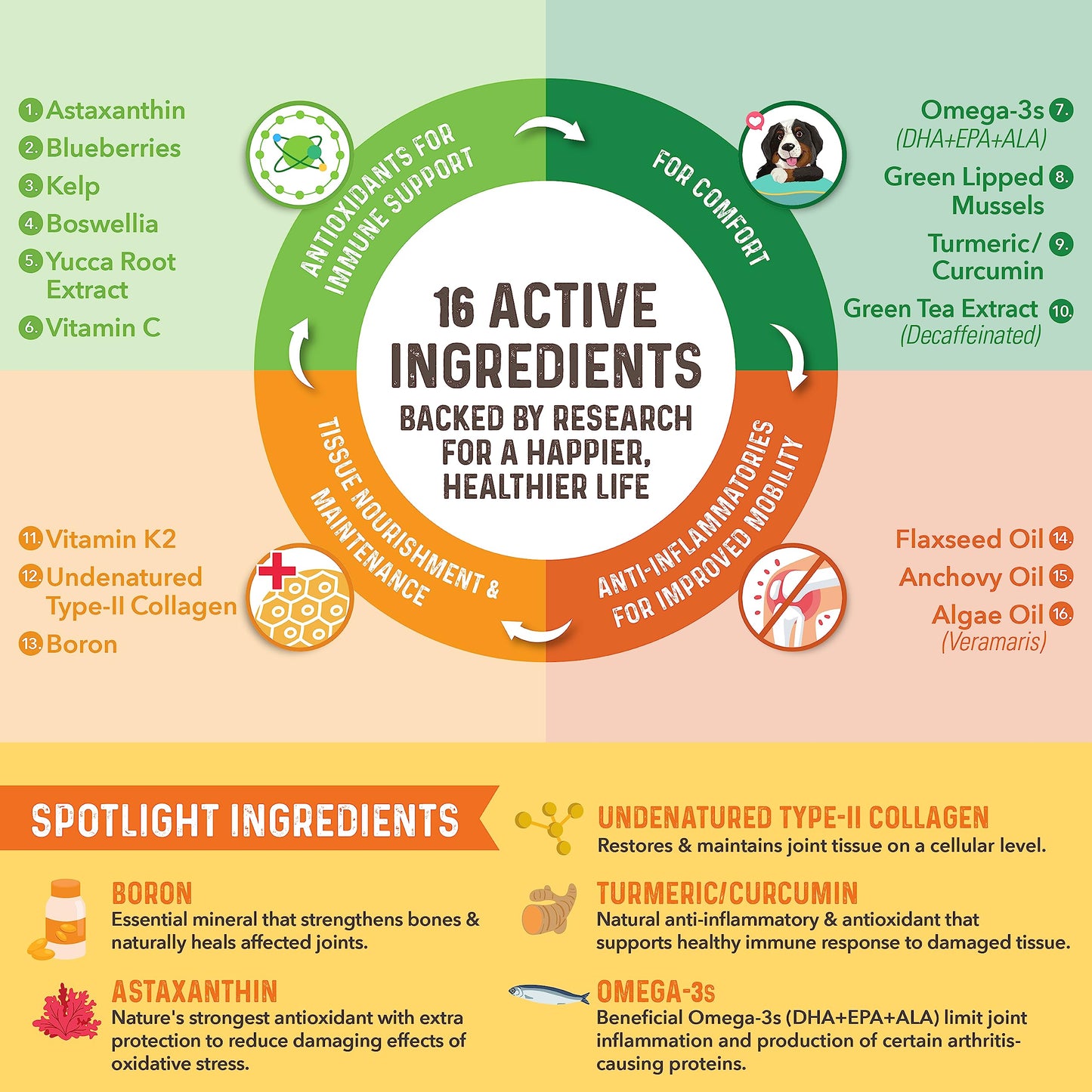 Bernie's Healthy HIPS - Daily Dog Hip & Joint Supplement - 90 Soft Chews - Reduce Pain, Encourage Mobility, Slow Damage, Repair and Rebuild HIPS & Joint Tissues