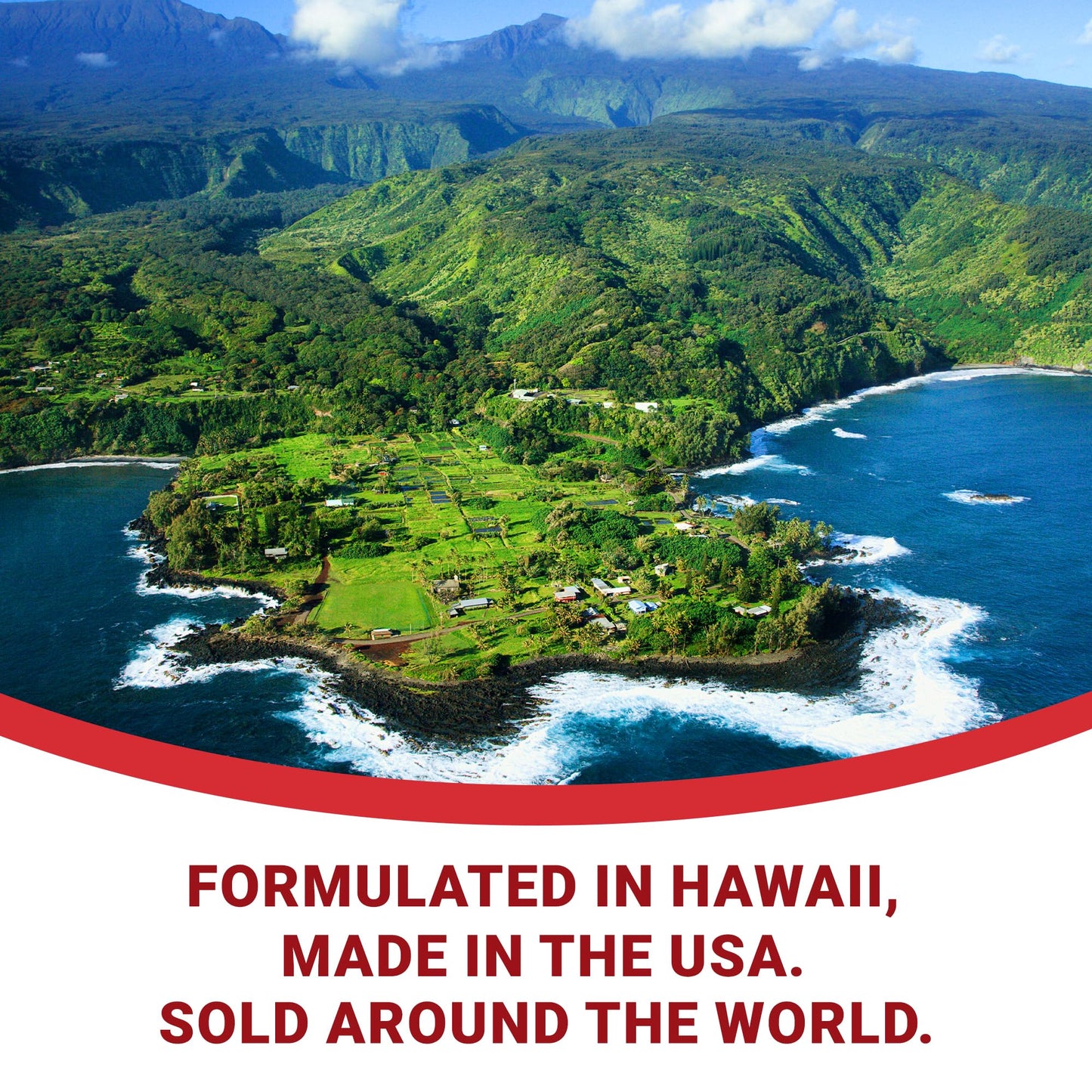 Apocaps CX Apoptogen Formula for Dogs (90 Capsules) - Supports Normal Levels of Apoptosis + Human Grade Ingredients Including Citrus Bioflavonoids, Silymarin, Curcumin and Turmeric + Biovadex