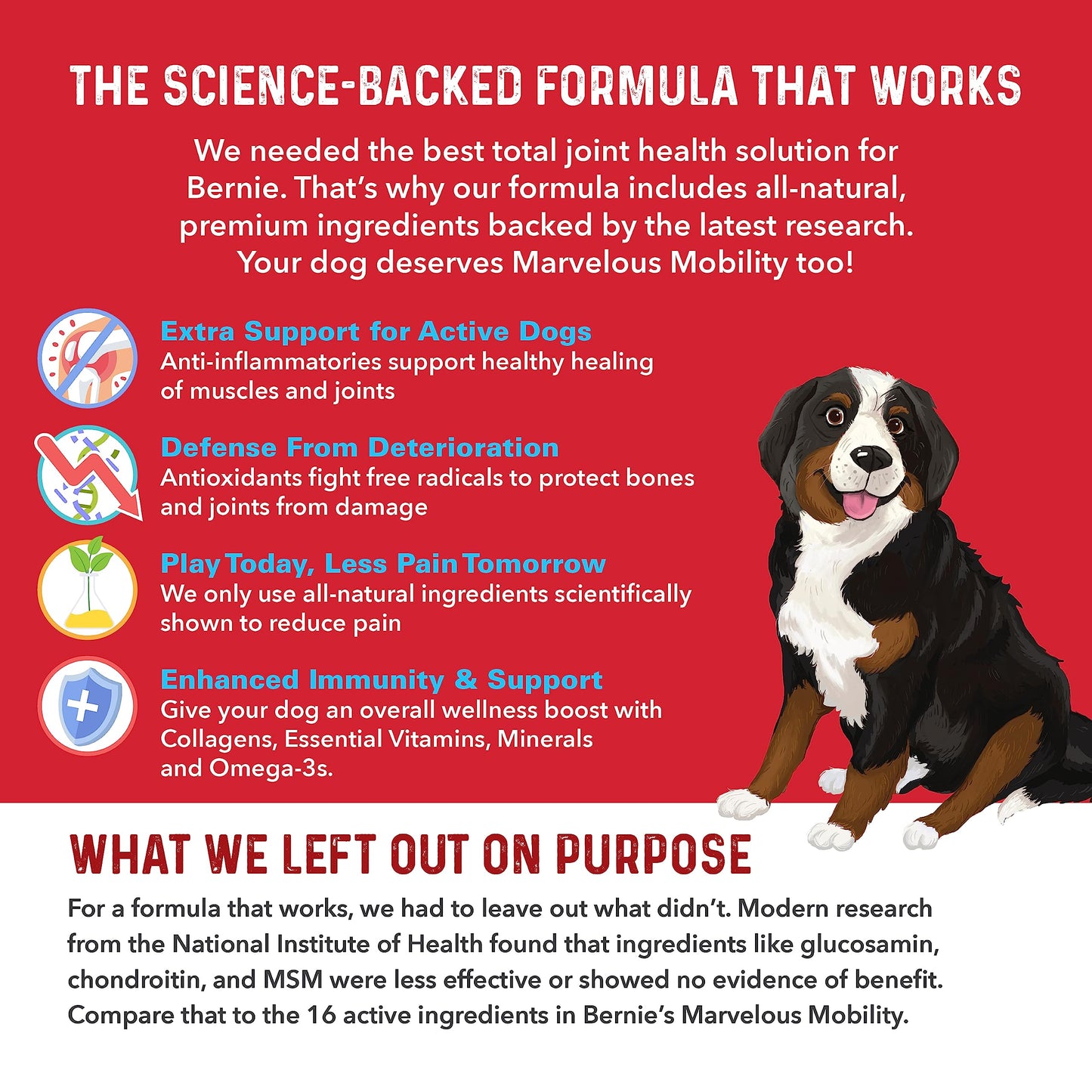 Bernie's Marvelous Mobility - Daily Total Joint Support for Dogs - 90 Soft Chews - Maintain & Rebuild Mobility, Supports Joint Tissue Health
