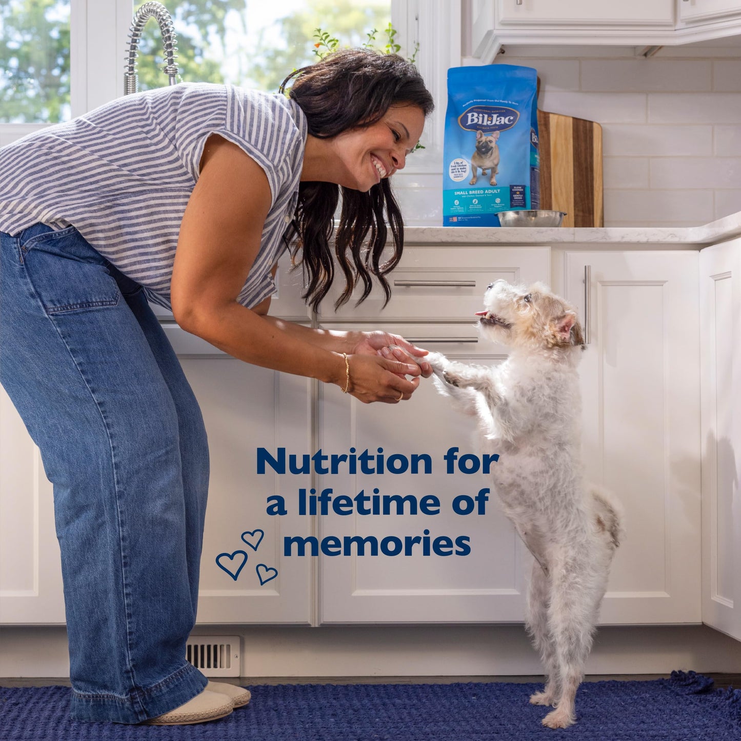 Bil-Jac Small Breed Adult FormulaDry Dog Food, Made with Real Chicken, 6lb (2-Pack)