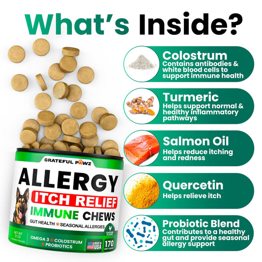 Dog Allergy Relief Chews - Dog Itching Skin Relief Treatment - 170 Chews - Anti-Itch, Hot Spots, Paw Licking - Immune Health - Omega 3 Fish Oil - Dry Itchy Skin and Coat Supplement - Made in USA