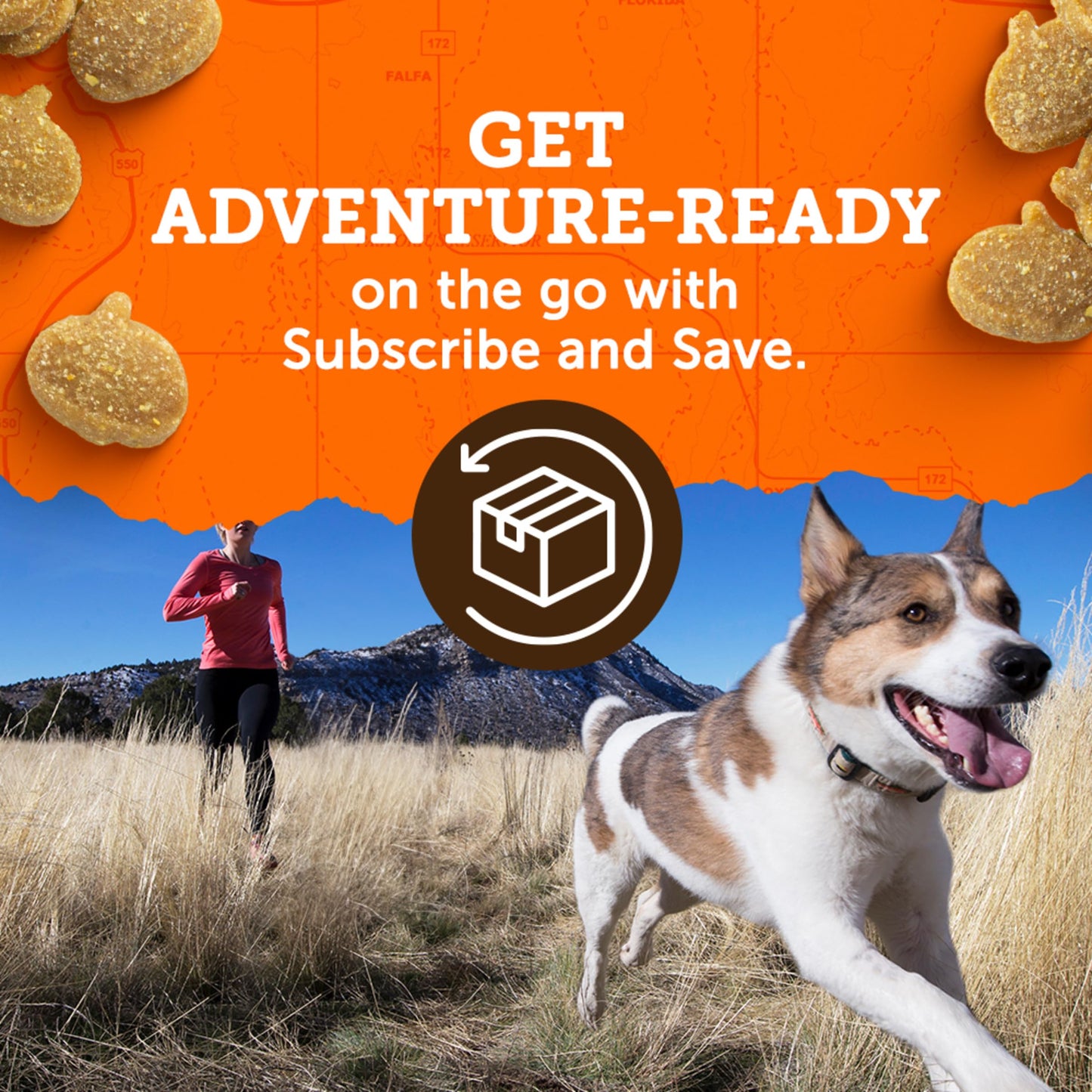 Zuke’s Mini Naturals Soft And Chewy Dog Treats For Training Pouch, Natural Treat Bites With Beef Recipe - 6 oz. Bag