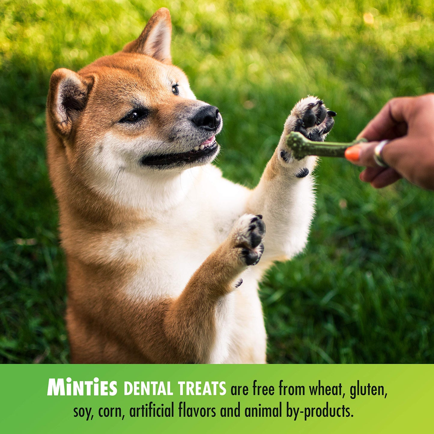 VetIQ Minties Dog Dental Bone Treats, Dental Chews for Dogs, (Perfect for Tiny / Small Dogs under 40 lbs), 80 Treats (box)