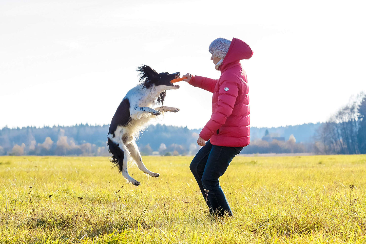 PlayfulSpirit Durable Natural Rubber Ring - Great Tug of War Dog Toy, Fun for Throw, Chase and Fetch Games, Exercise and Dog Training Toy for Medium to Large Breed Puppies and Adult Dogs (L, Orange)