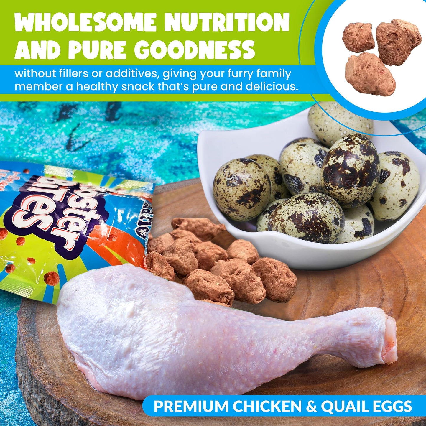 Rooster Bites Chicken Quail Egg Dog & Cat Treats – Only 2 Ingredient Freeze Dried Training Treats - High Protein, All Natural, Made in USA - Picky Eater Approved