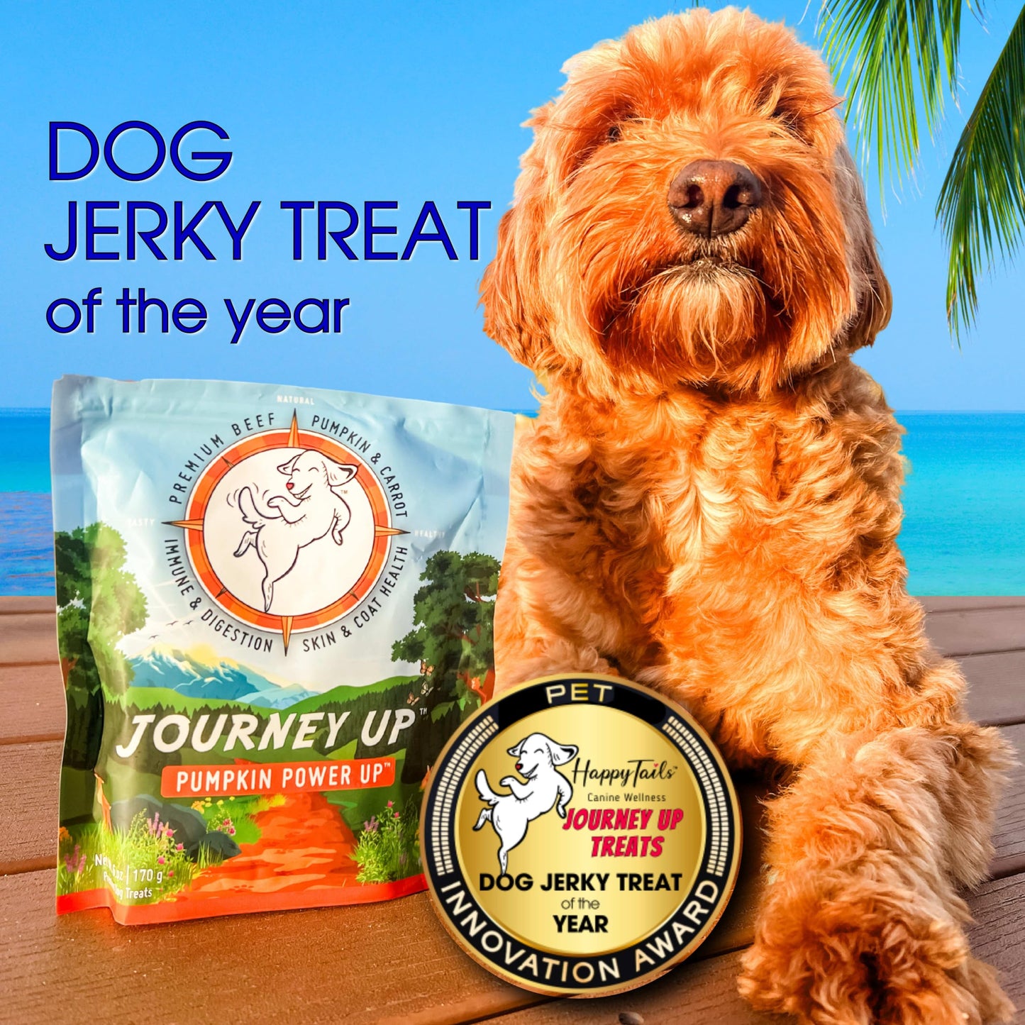 HappyTails Journey Up, Pumpkin Power Up Jerky Treats for Dogs with Beef, Pumpkin & Carrots-Made in USA-Prebiotics for Gut & Immune Health, Omega 3 & 6 for Skin & Coat, Small-Large Dogs, 6 oz.