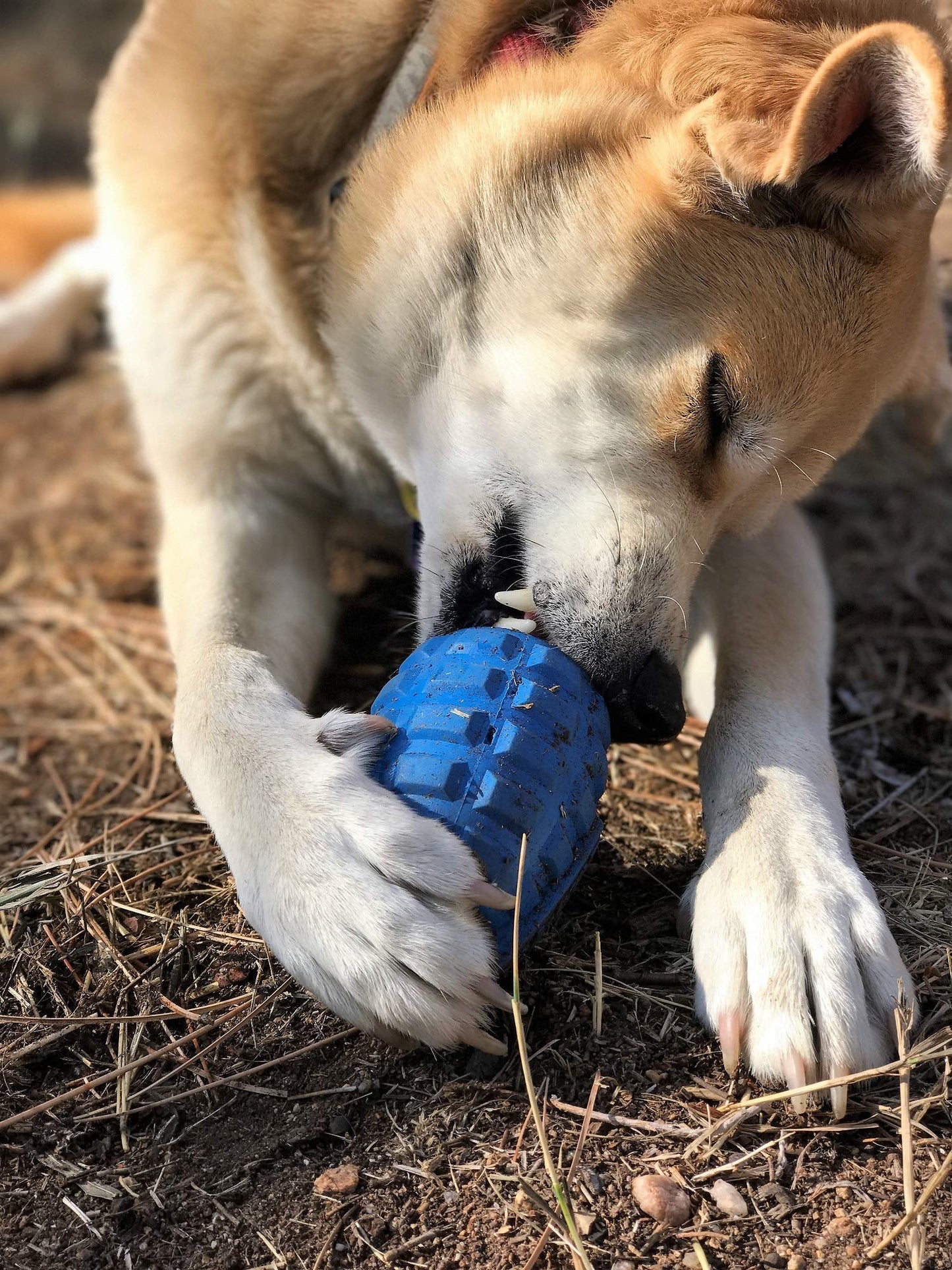 SodaPup USA-K9 Grenade – Durable Dog Treat Dispenser and Chew Toy Made in USA from Non-Toxic, Pet Safe, Food Safe Natural Rubber Material for Mental Stimulation, Problem Chewing, Calming Nerves & More