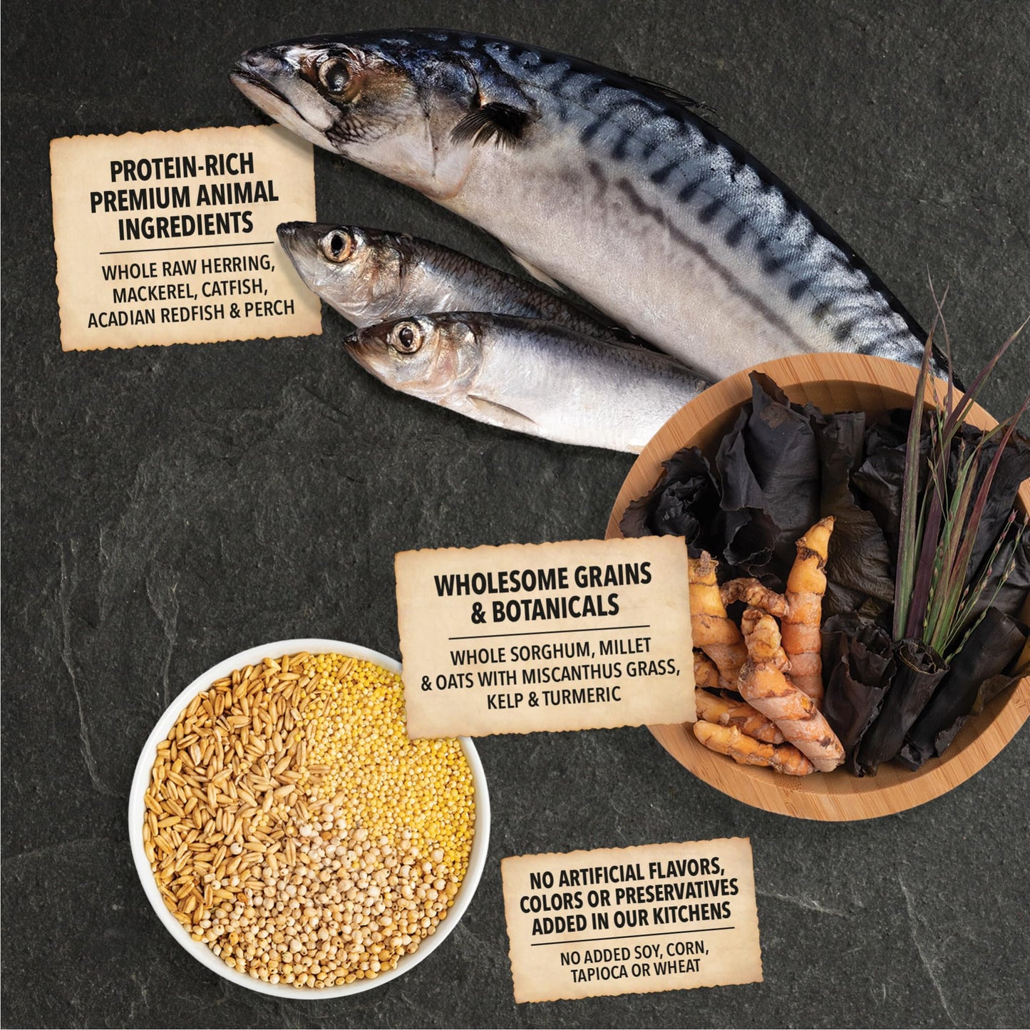 ACANA Wholesome Grains Dry Dog Food Sea to Stream Saltwater Fish Recipe 22.5lb Bag