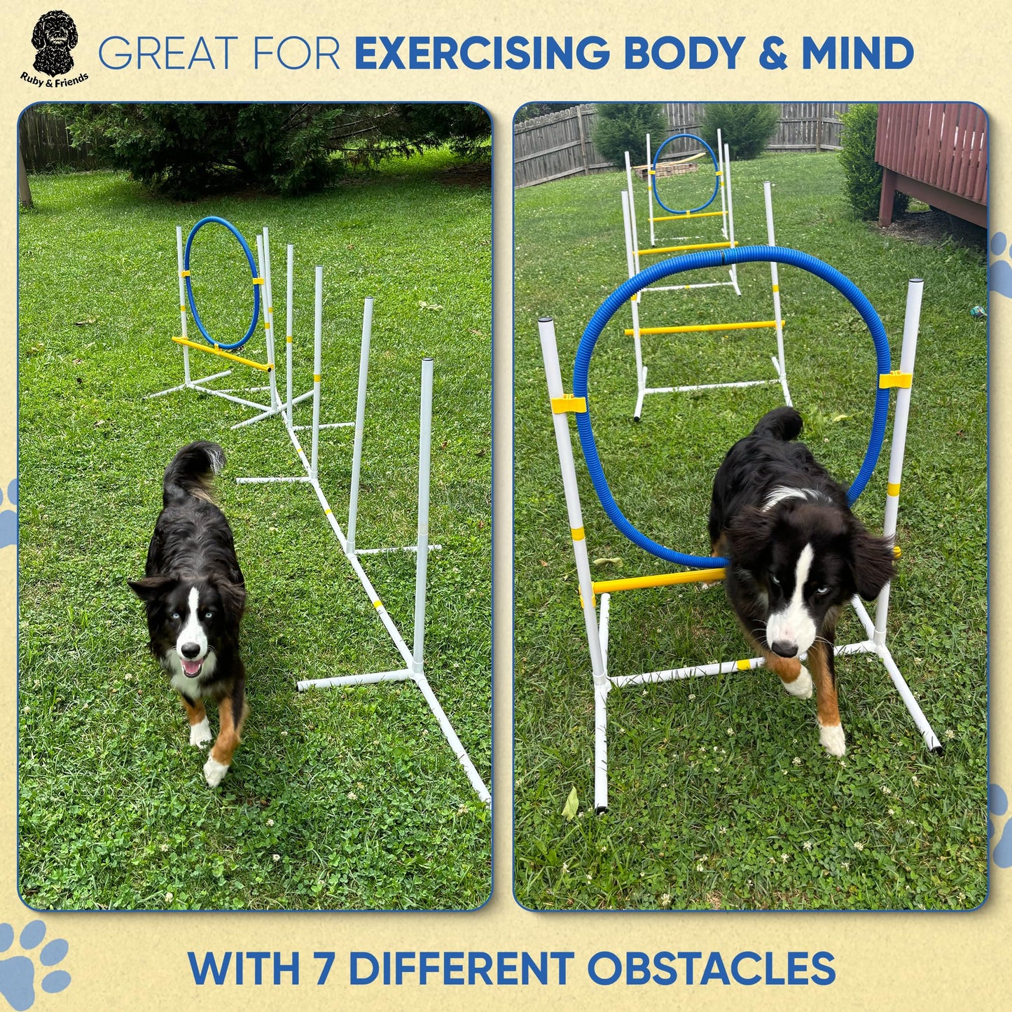 JMMPOO Dog Agility Training Equipment, 60-Piece Dog Obstacle Course Training Starter Kit Pet Outdoor Game with Tunnel, Agility Hurdle, Weave Poles, Jump Ring, Pause Box, Toy Balls and Storage Bag